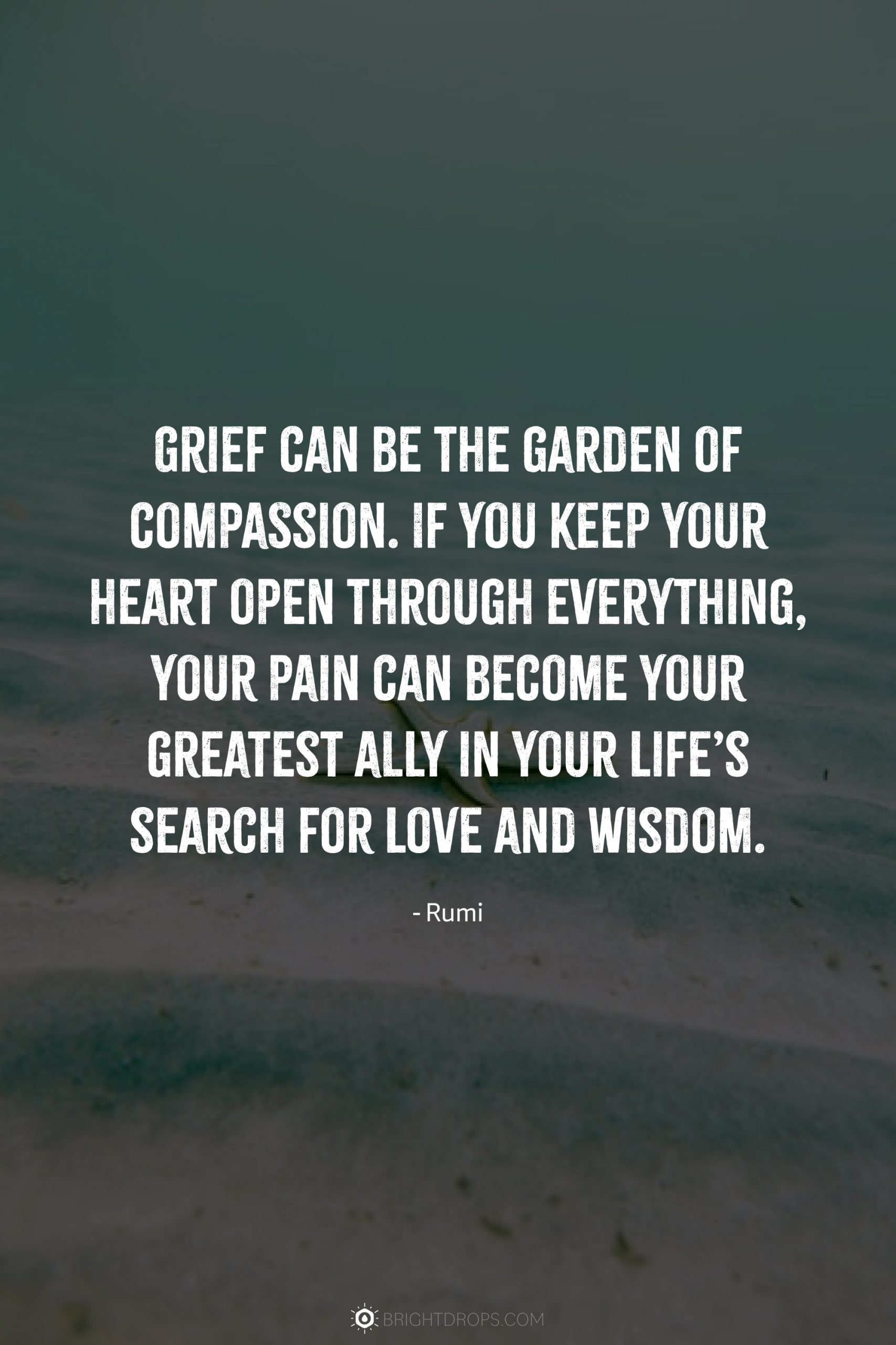 Grief can be the garden of compassion. If you keep your heart open through everything, your pain can become your greatest ally in your life’s search for love and wisdom.