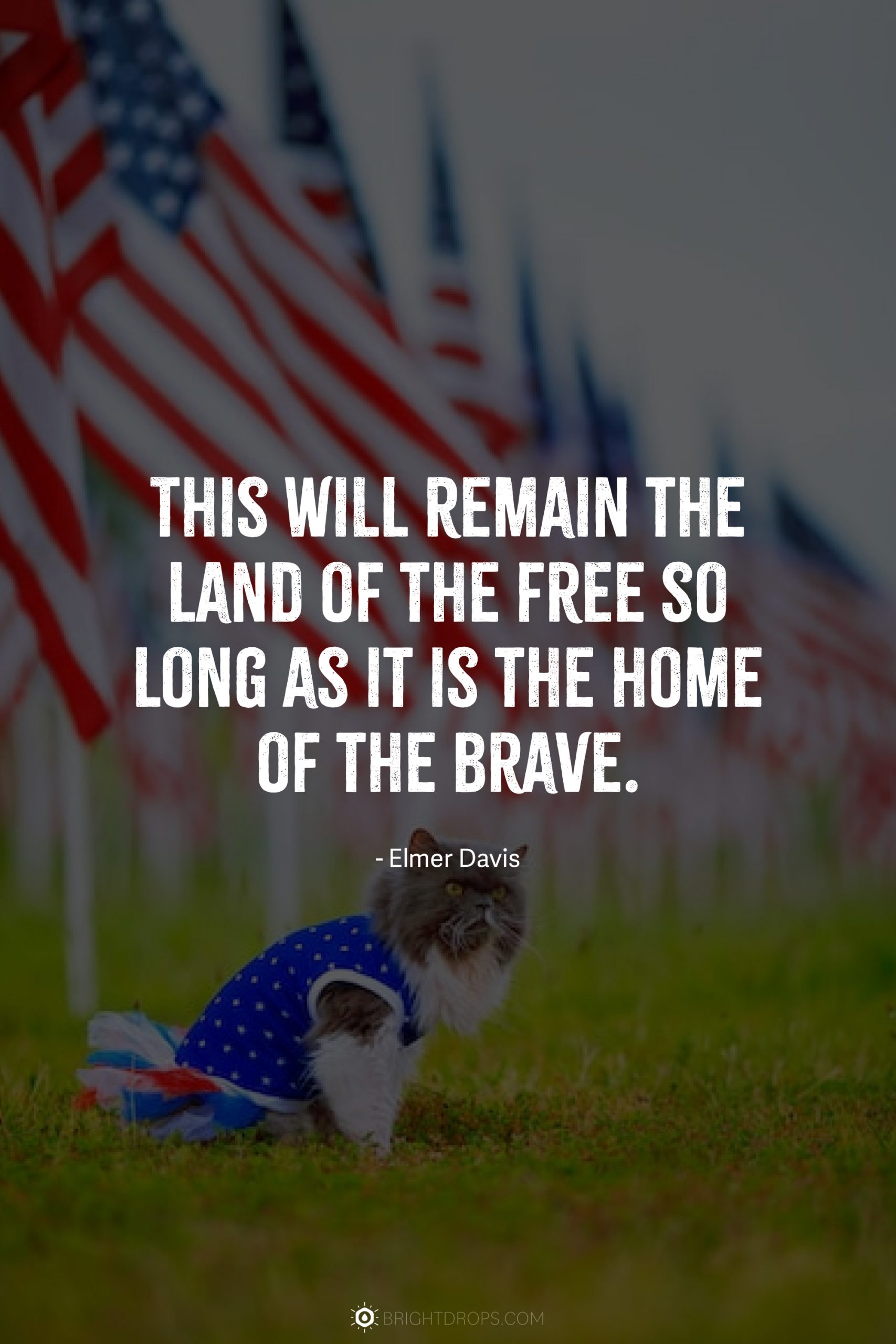 25+ Best Memorial Day Quotes 2021 – Beautiful Sayings That Honor