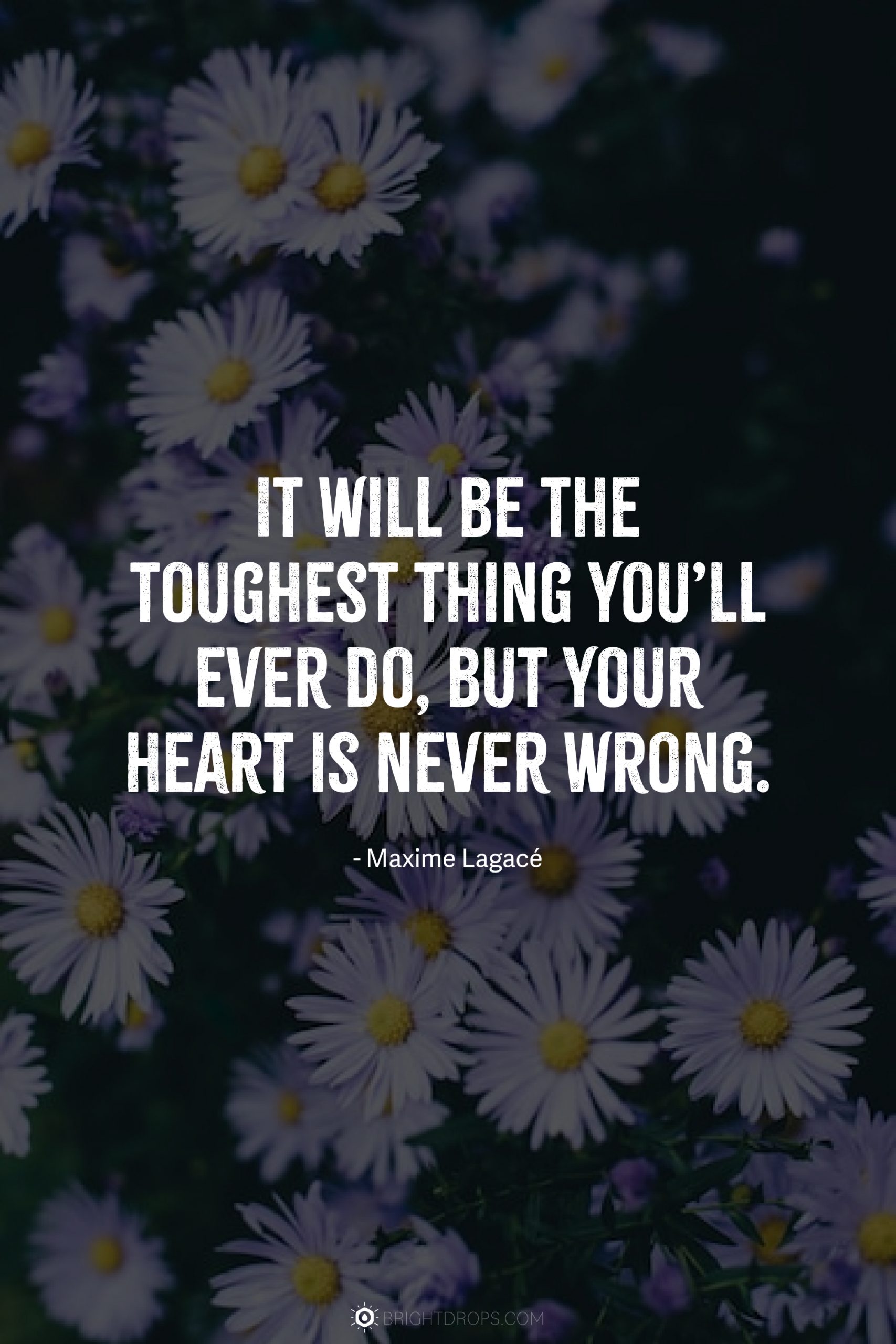 It will be the toughest thing you’ll ever do, but your heart is never wrong.