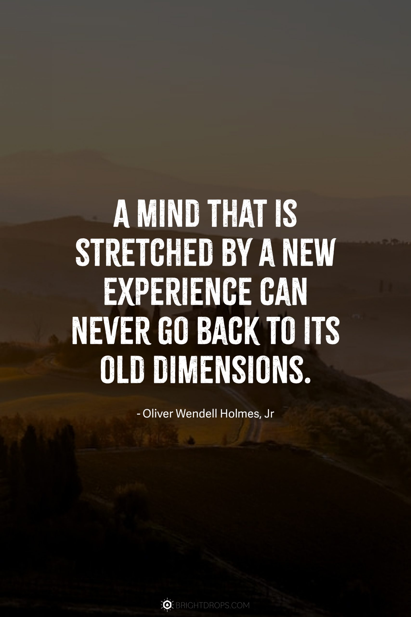 A mind that is stretched by a new experience can never go back to its old dimensions.