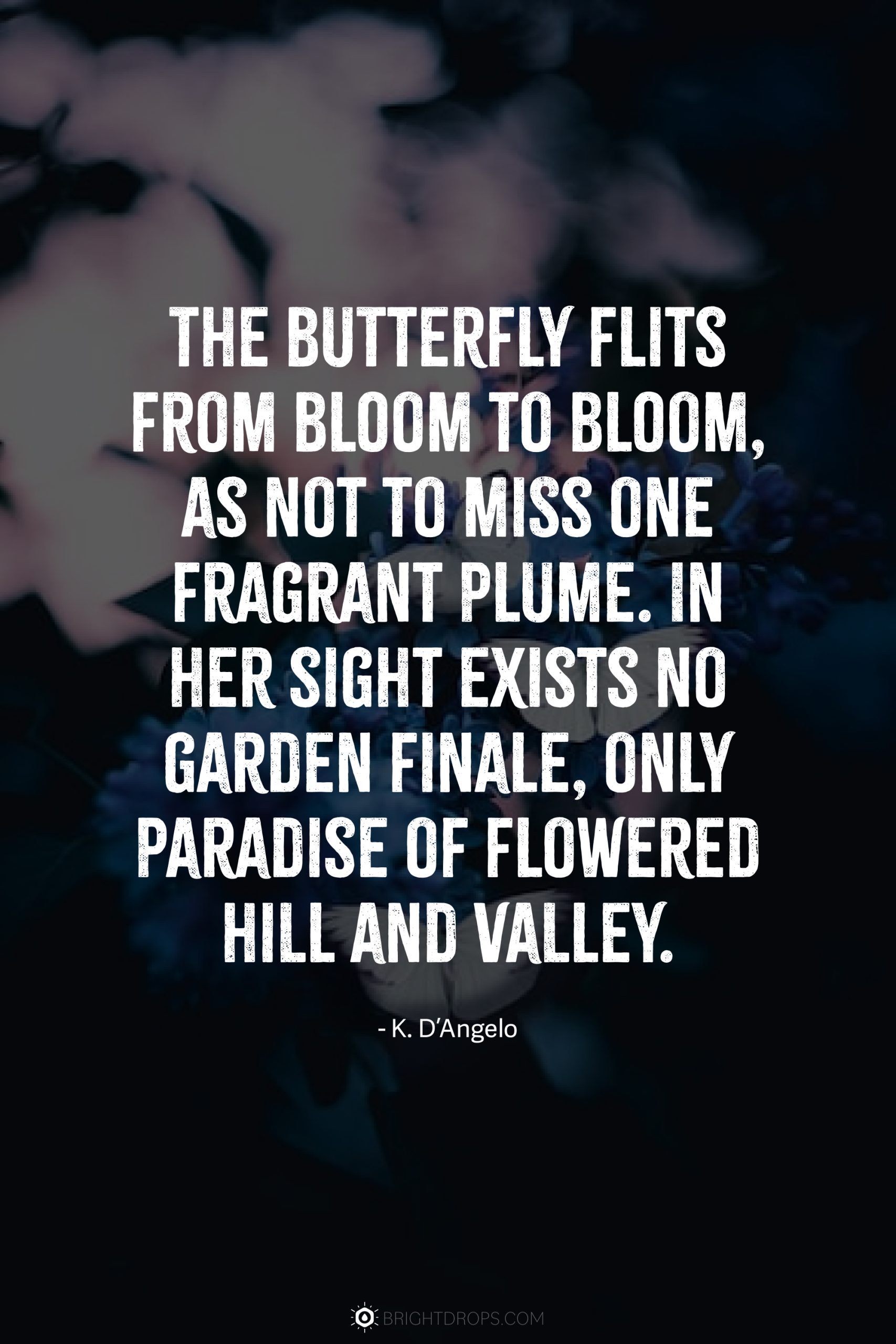 The butterfly flits from bloom to bloom, as not to miss one fragrant plume. In her sight exists no garden finale, only paradise of flowered hill and valley.