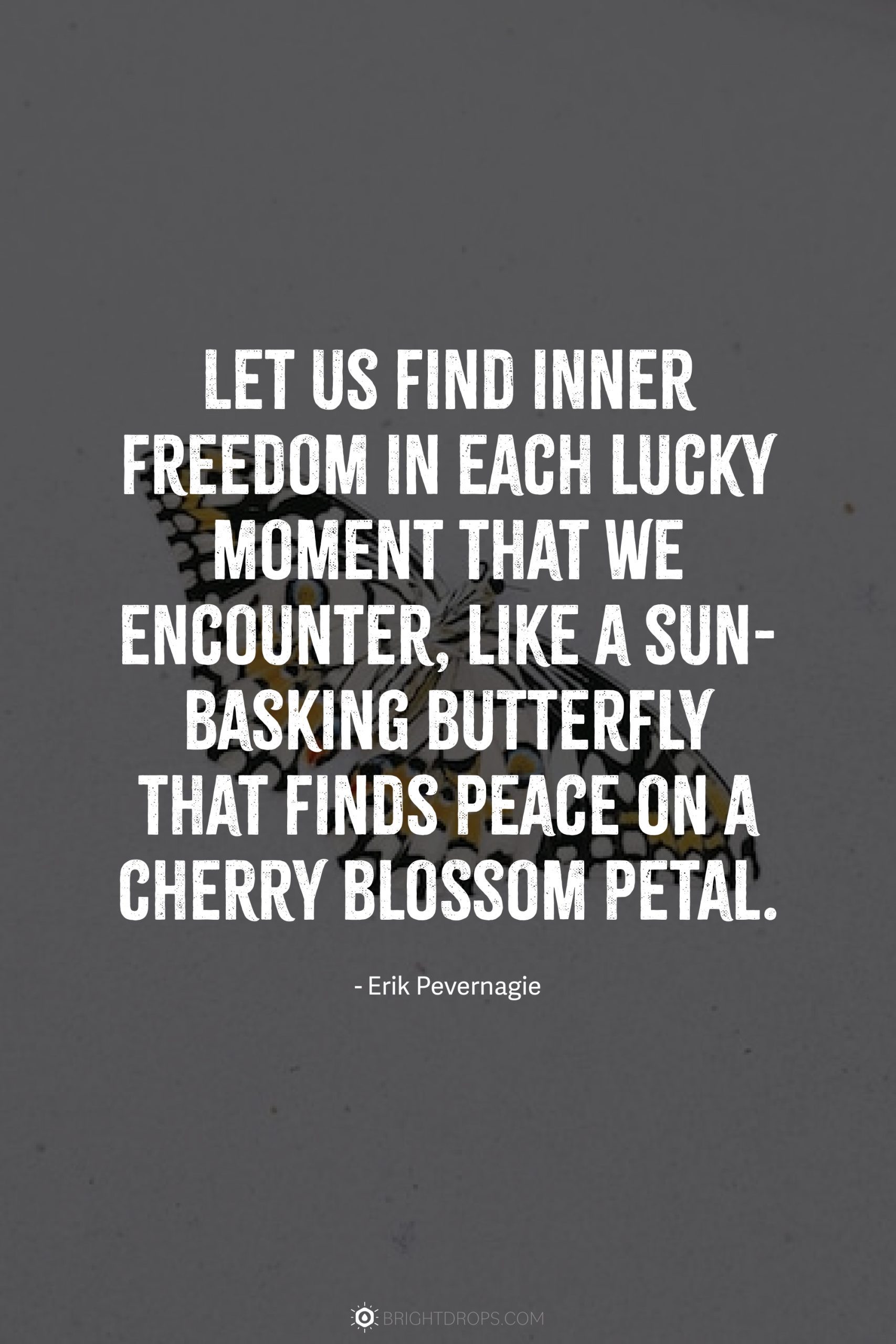 Let us find inner freedom in each lucky moment that we encounter, like a sun-basking butterfly that finds peace on a cherry blossom petal.