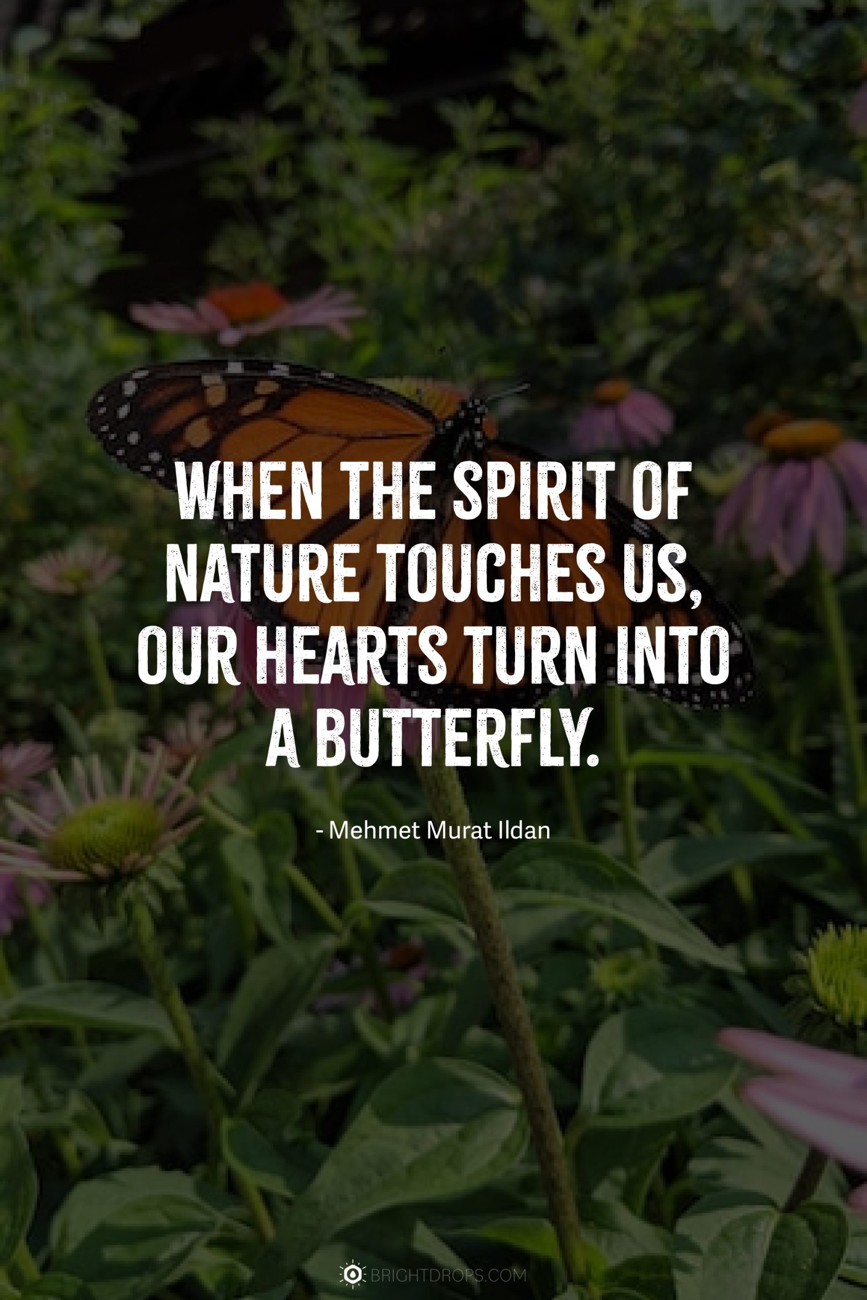 When the spirit of nature touches us, our hearts turn into a butterfly.