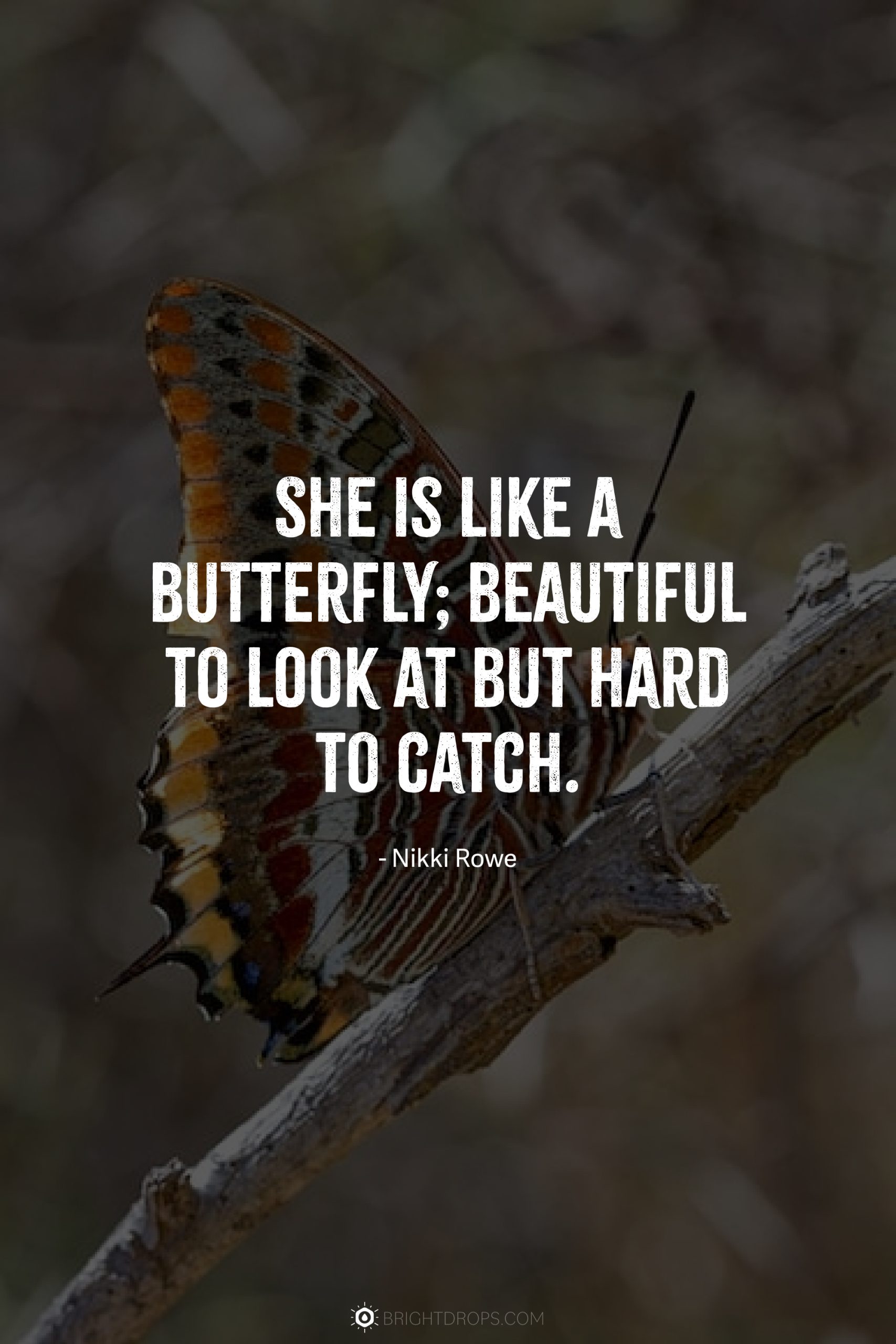 She is like a butterfly; beautiful to look at but hard to catch.