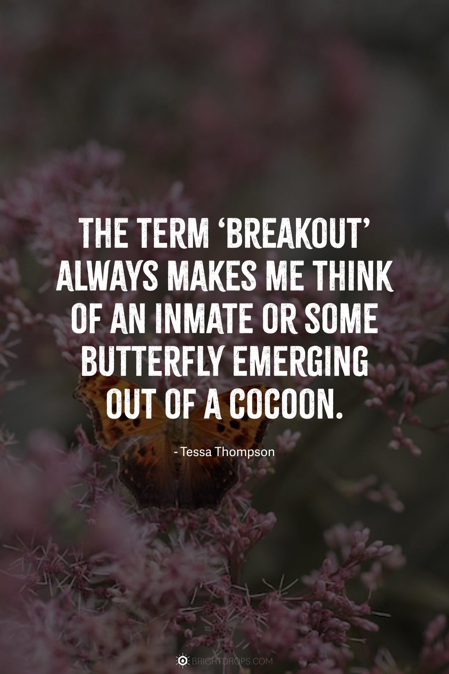 The term ‘breakout’ always makes me think of an inmate or some butterfly emerging out of a cocoon.