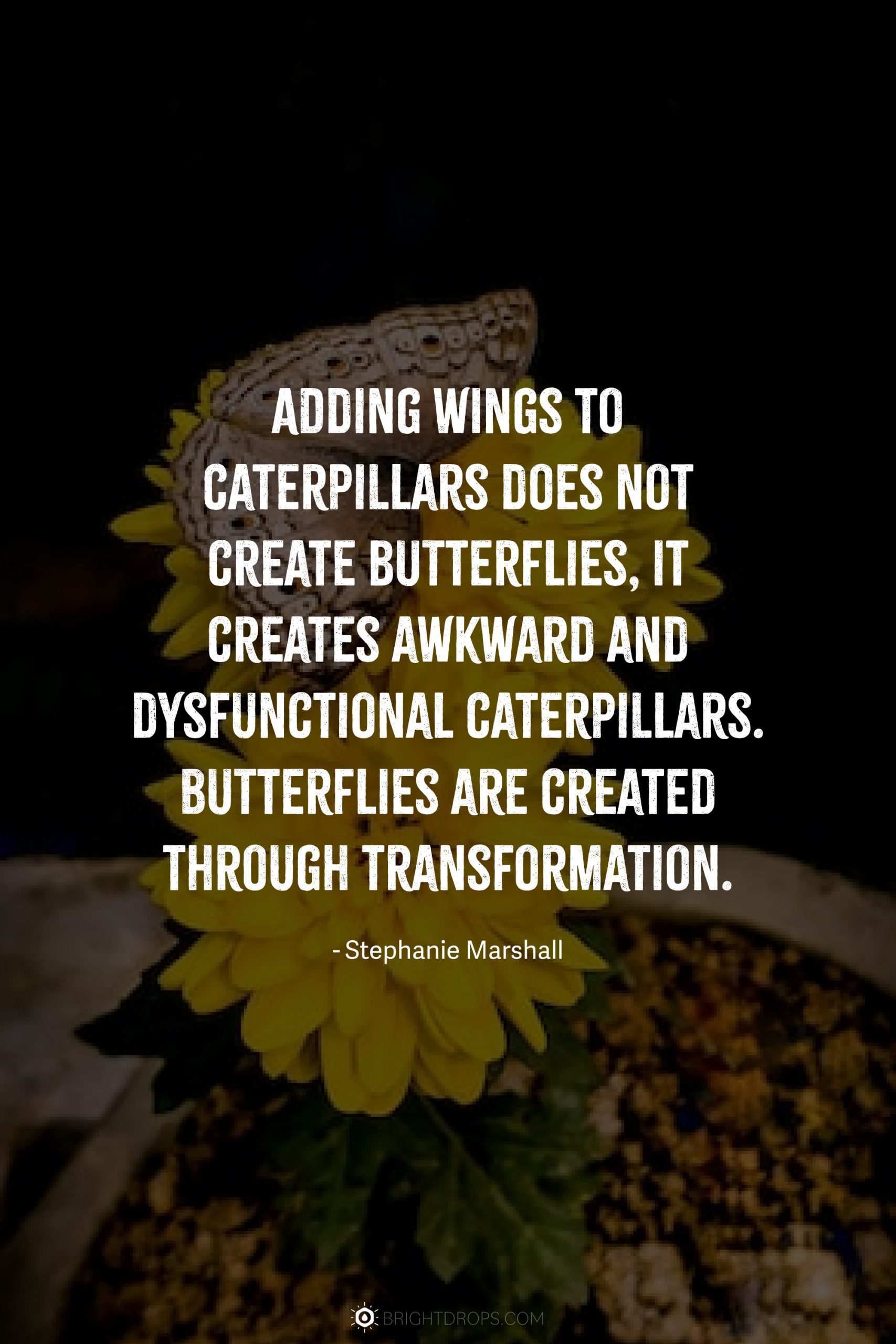 Adding wings to caterpillars does not create butterflies, it creates awkward and dysfunctional caterpillars. Butterflies are created through transformation.