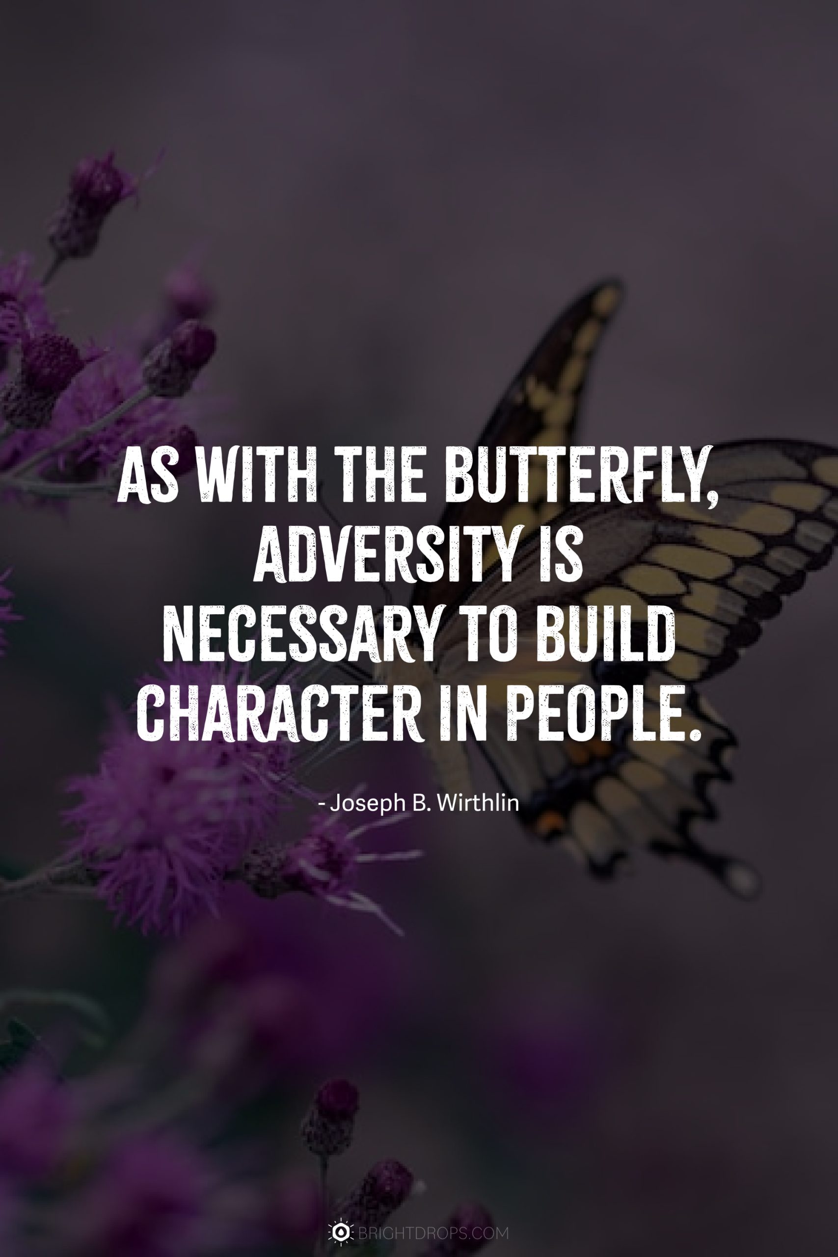 As with the butterfly, adversity is necessary to build character in people.