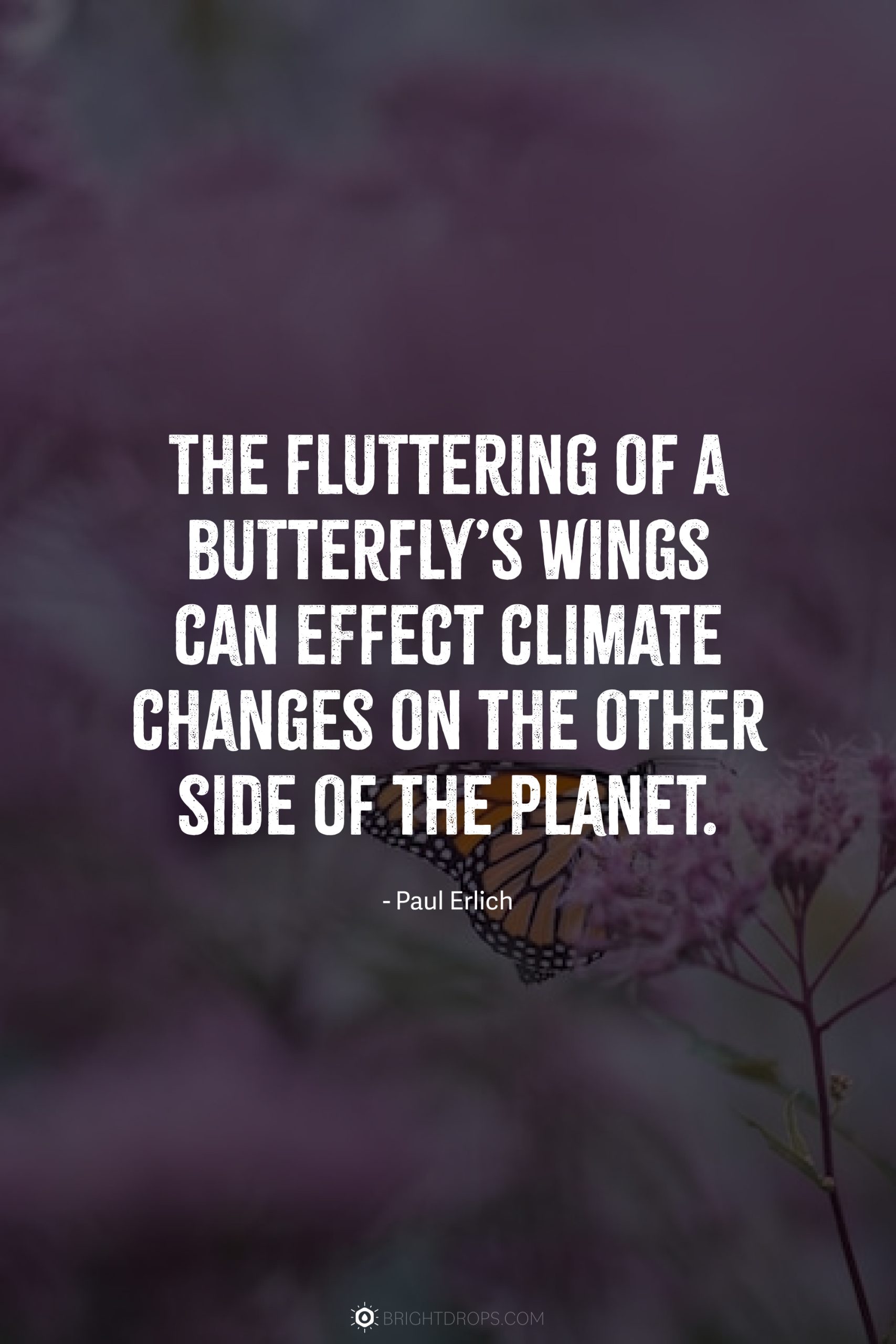 The fluttering of a butterfly’s wings can effect climate changes on the other side of the planet.