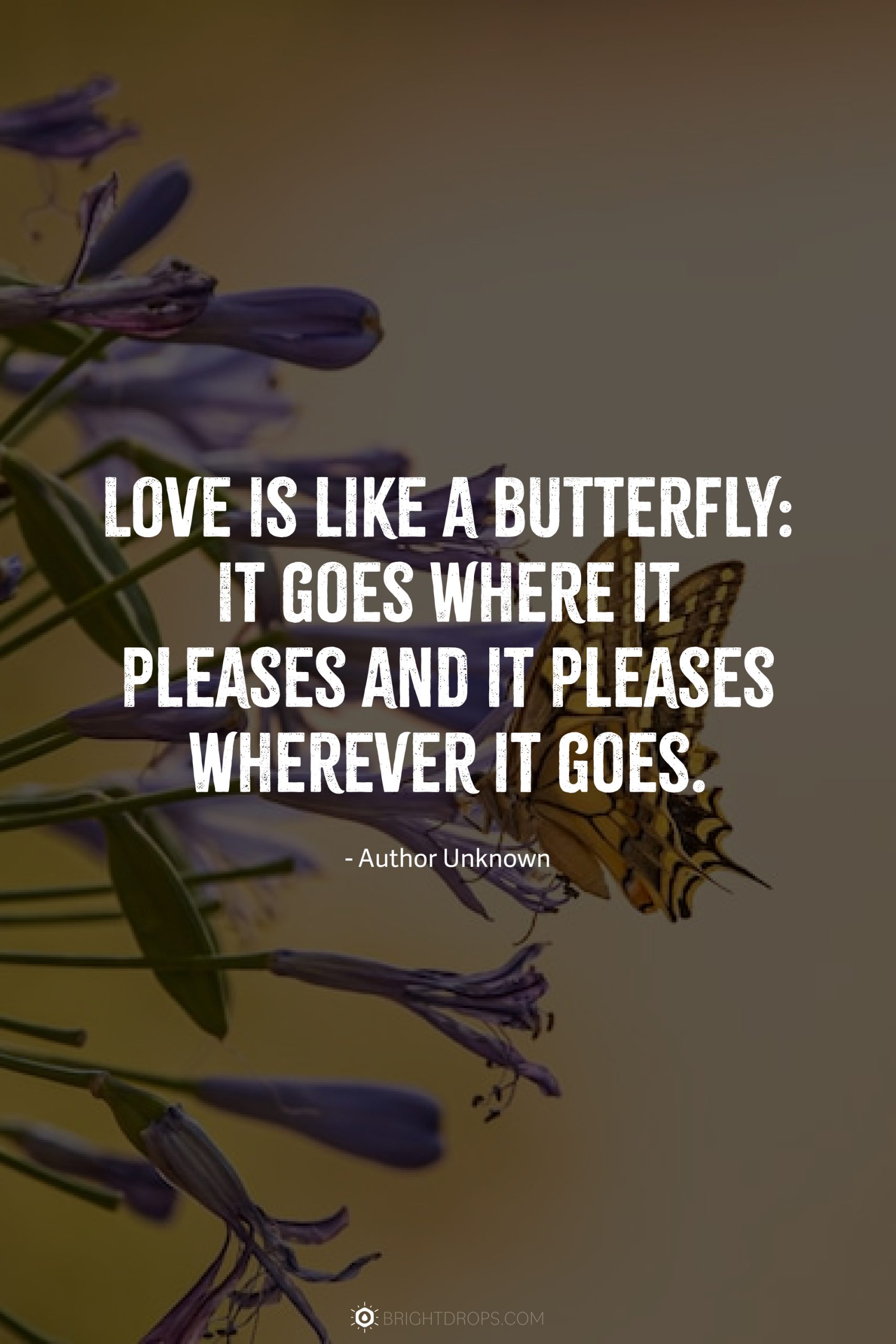 Love is like a butterfly: It goes where it pleases and it pleases wherever it goes.