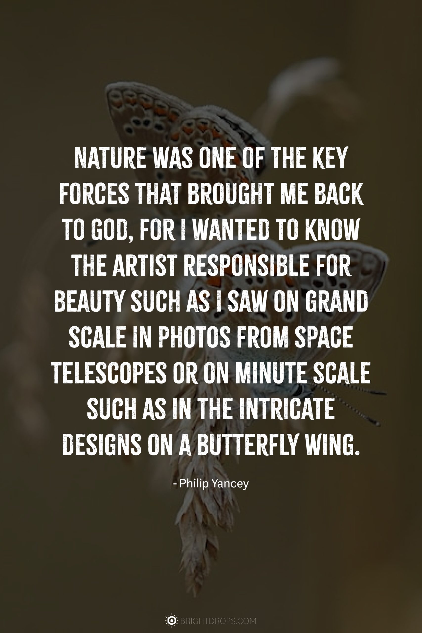 Nature was one of the key forces that brought me back to God, for I wanted to know the Artist responsible for beauty such as I saw on grand scale in photos from space telescopes or on minute scale such as in the intricate designs on a butterfly wing.