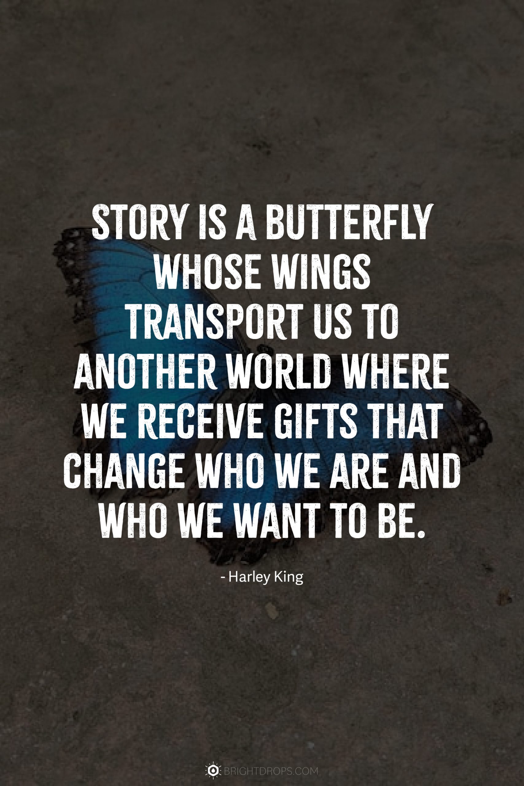 Story is a butterfly whose wings transport us to another world where we receive gifts that change who we are and who we want to be.