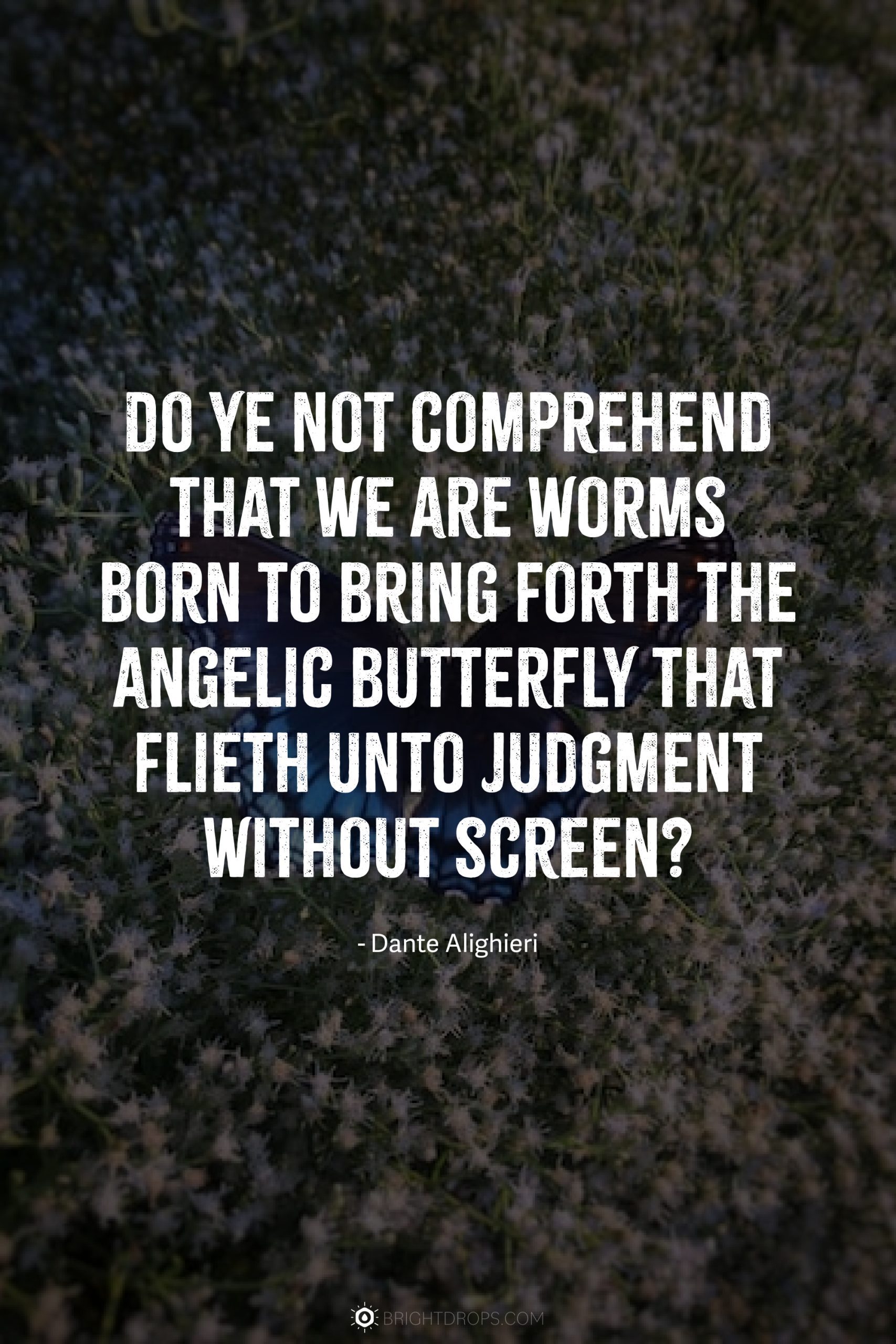 Do ye not comprehend that we are worms born to bring forth the angelic butterfly that flieth unto judgment without screen?