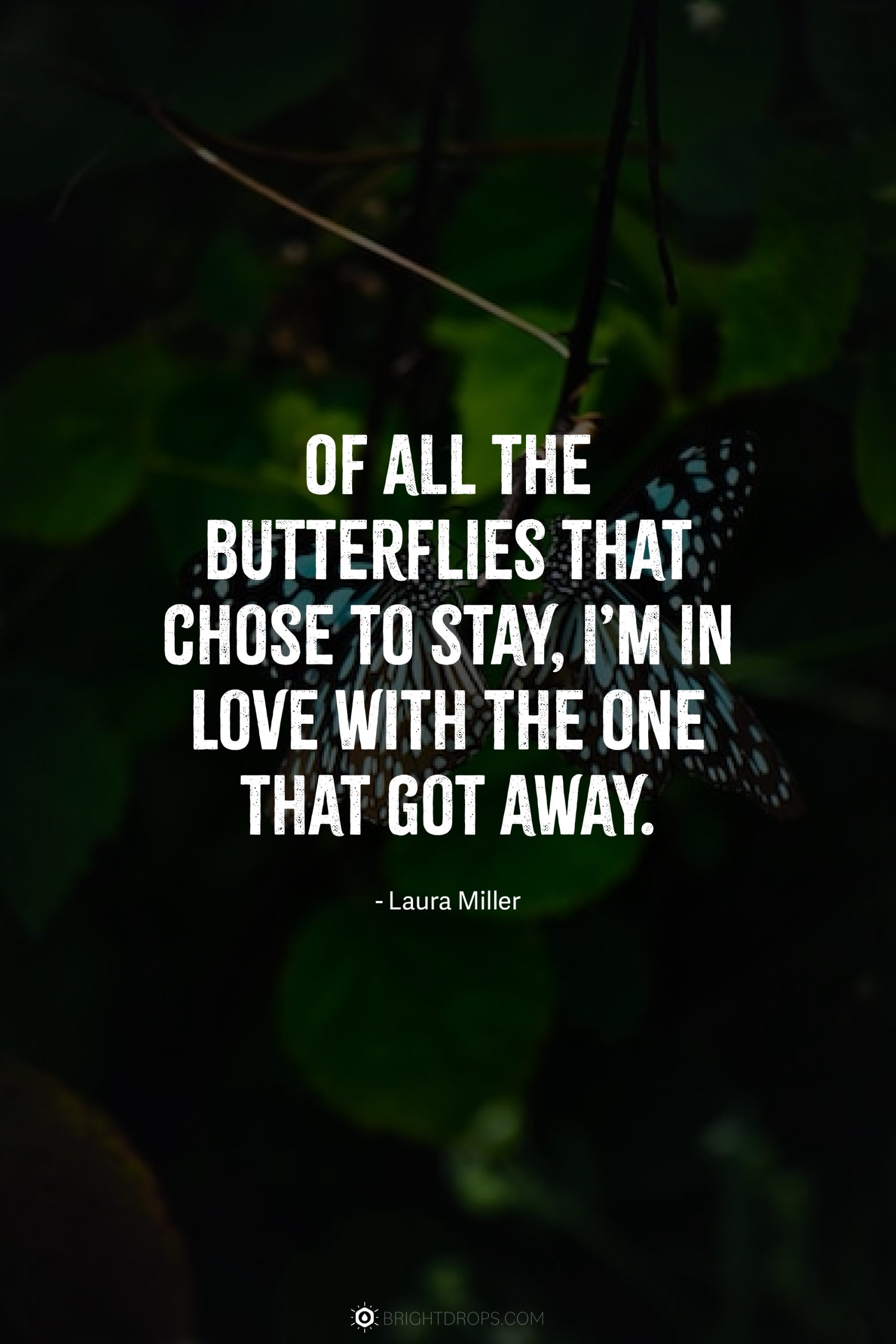 Of all the butterflies that chose to stay, I’m in love with the one that got away.