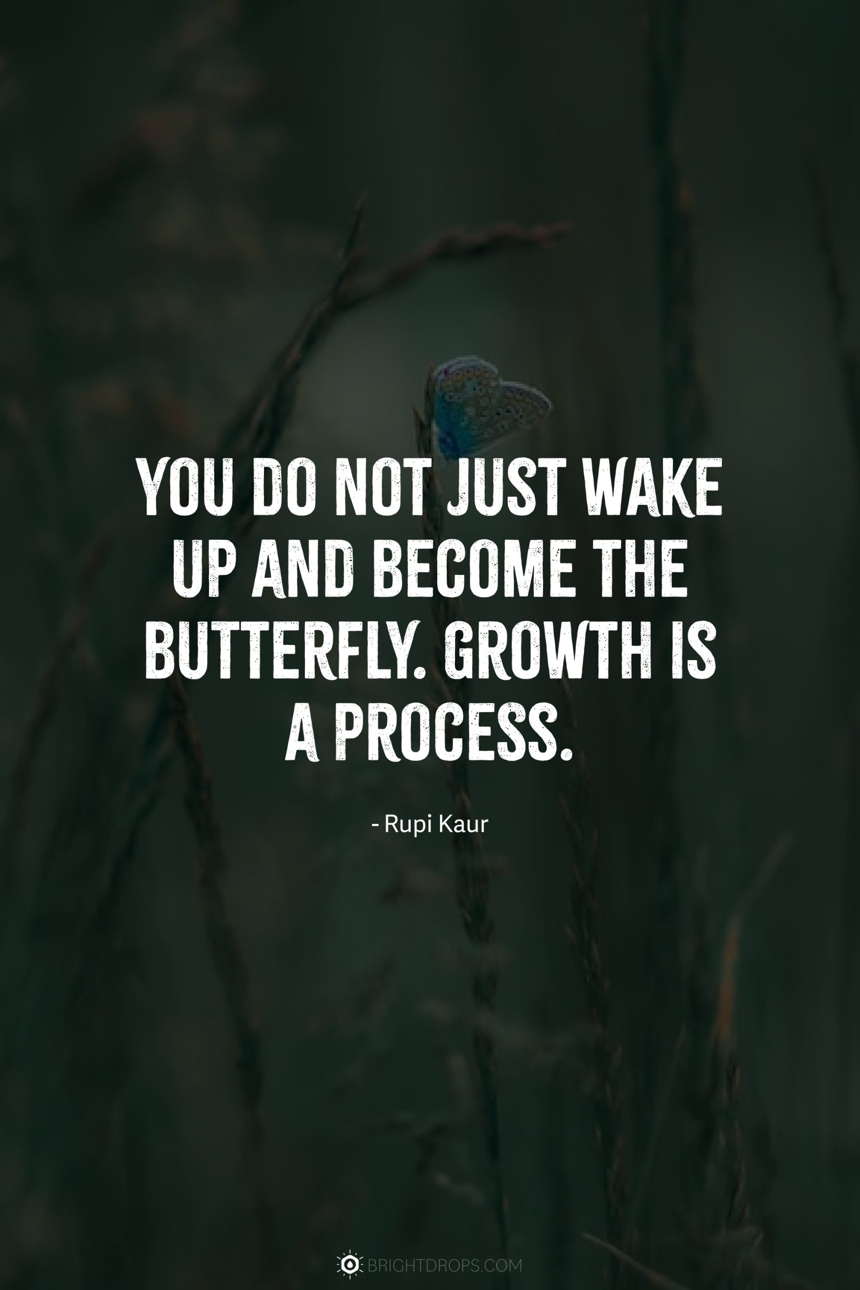 You do not just wake up and become the butterfly. Growth is a process.