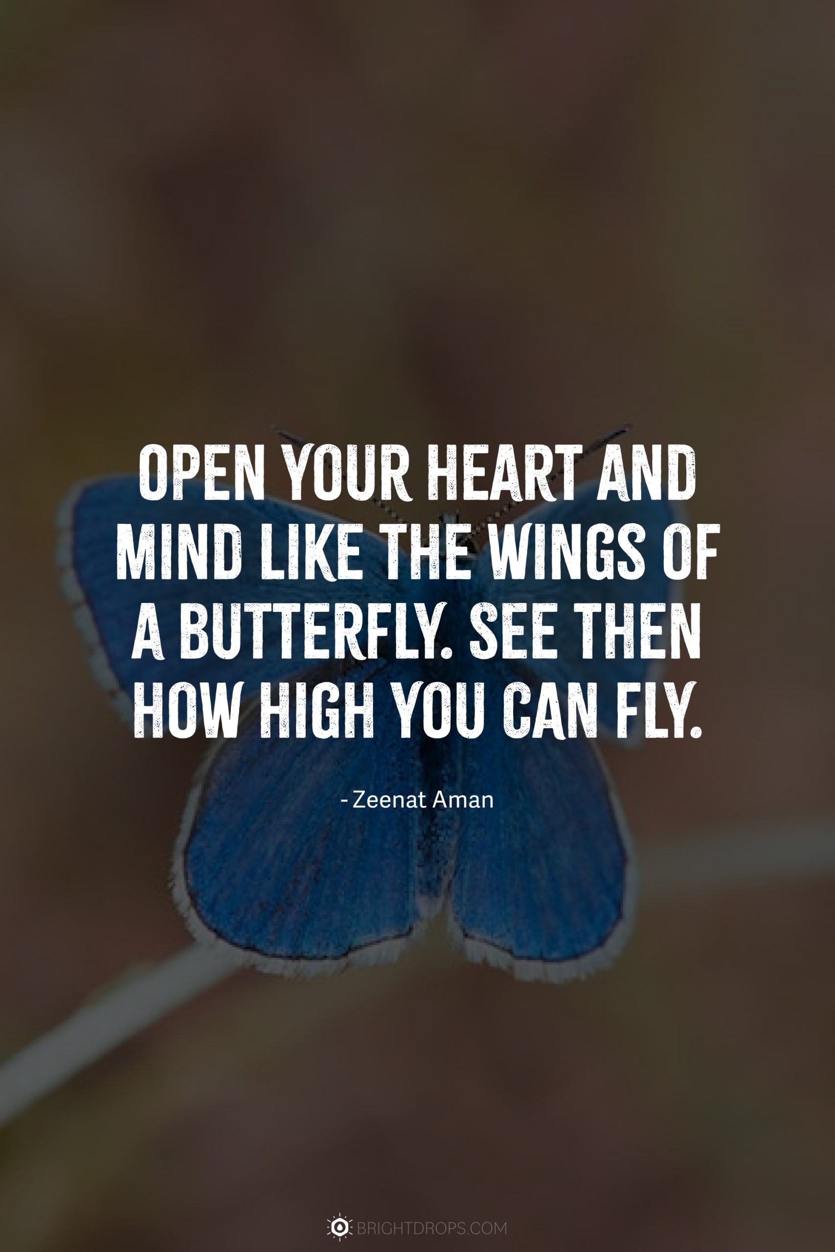 Open your heart and mind like the wings of a butterfly. See then how high you CAN fly.