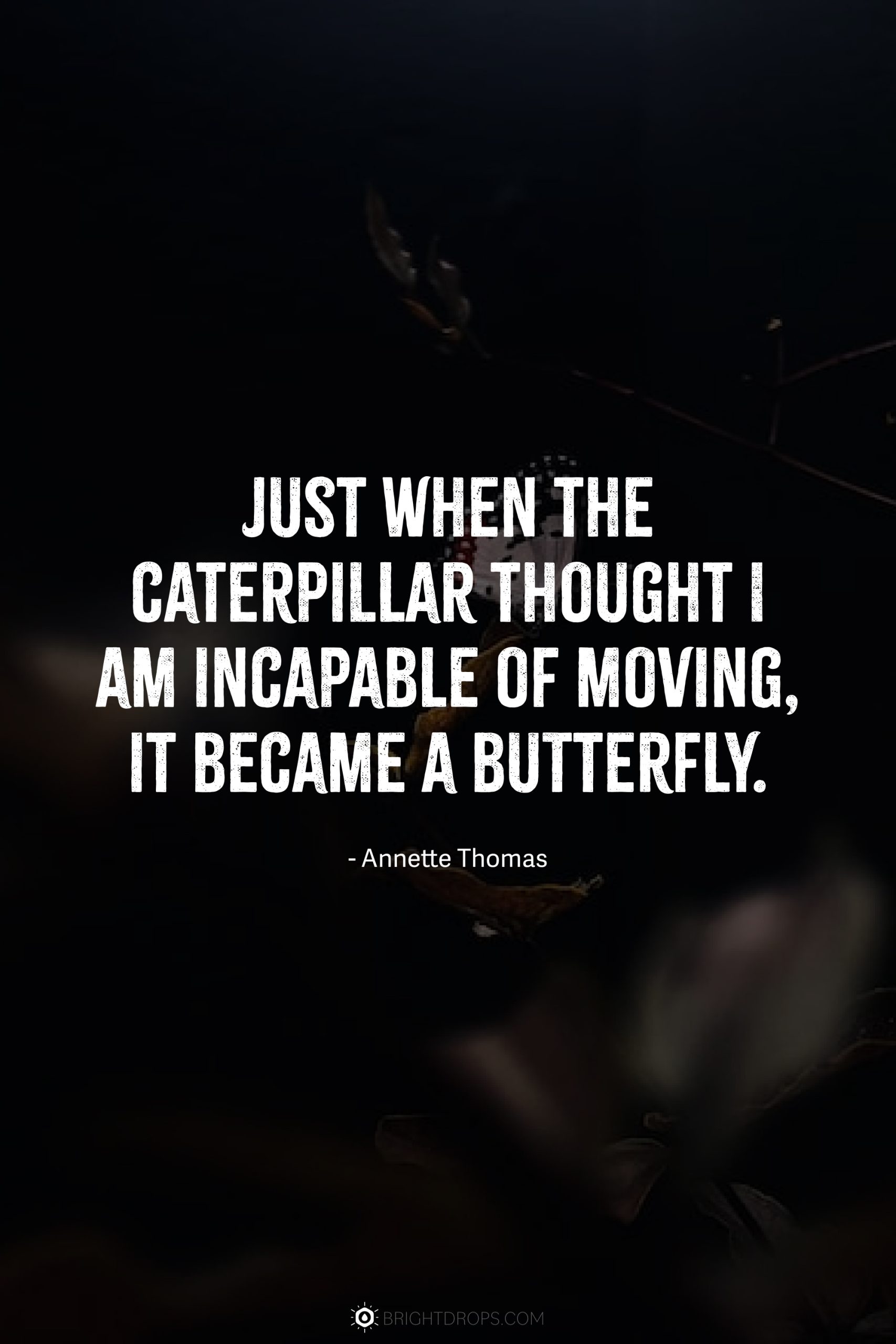 Just when the caterpillar thought I am incapable of moving, it became a butterfly.