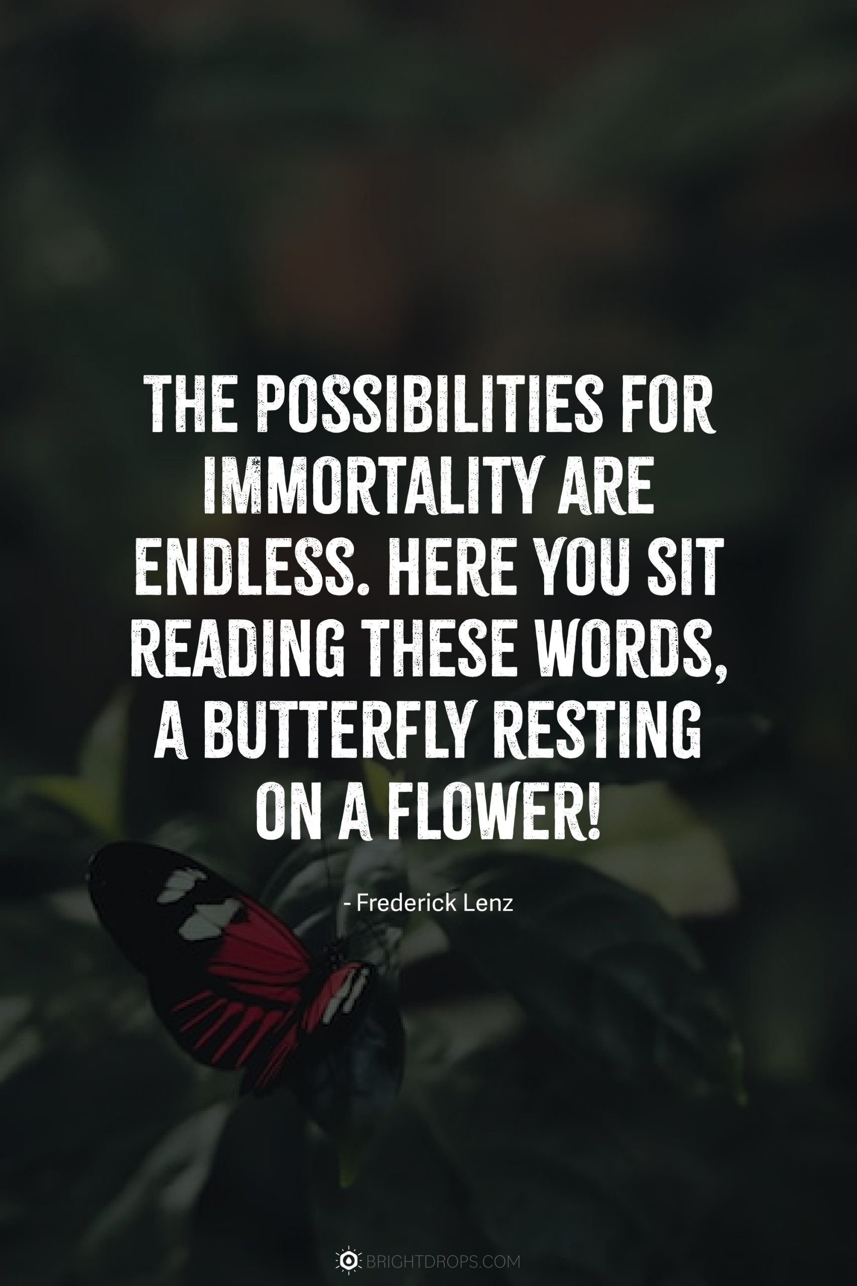 The possibilities for immortality are endless. Here you sit reading these words, a butterfly resting on a flower!