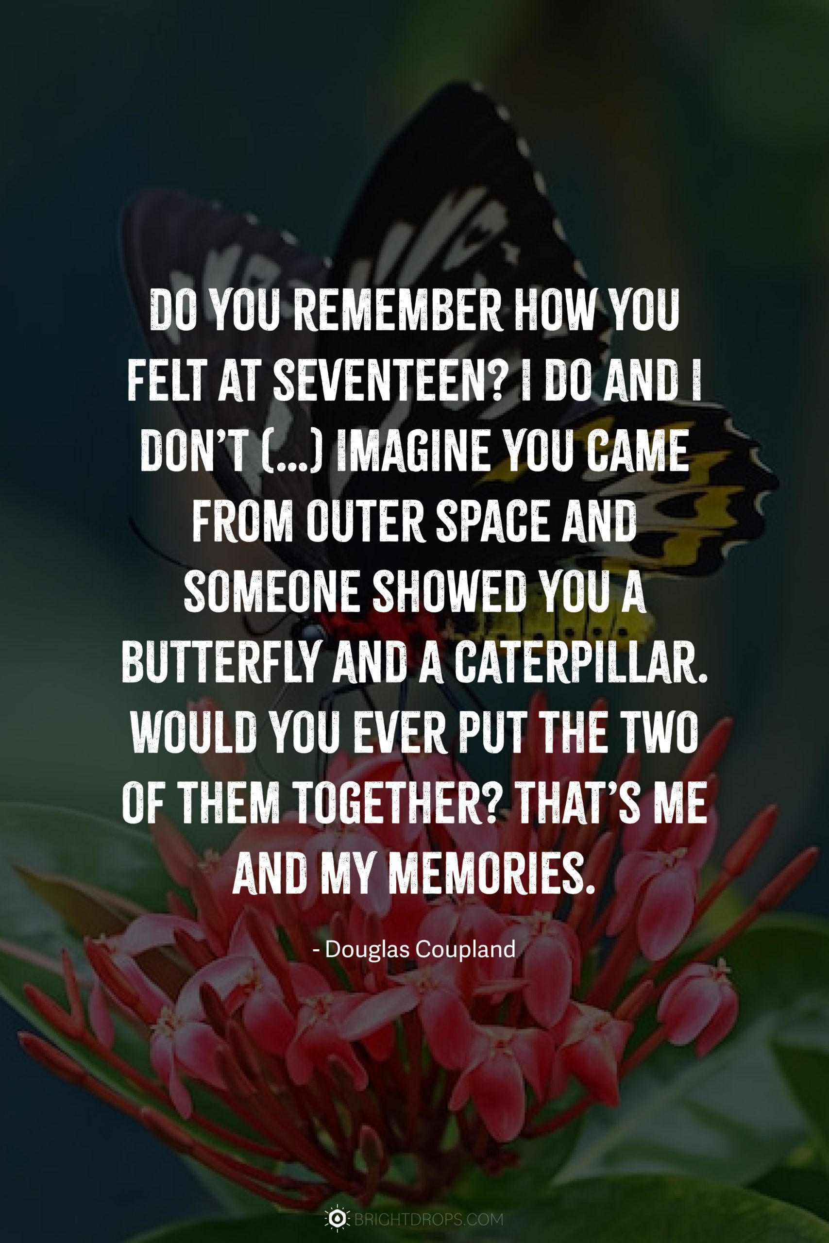 Do you remember how you felt at seventeen? I do and I don’t (…) Imagine you came from outer space and someone showed you a butterfly and a caterpillar. Would you ever put the two of them together? That’s me and my memories.