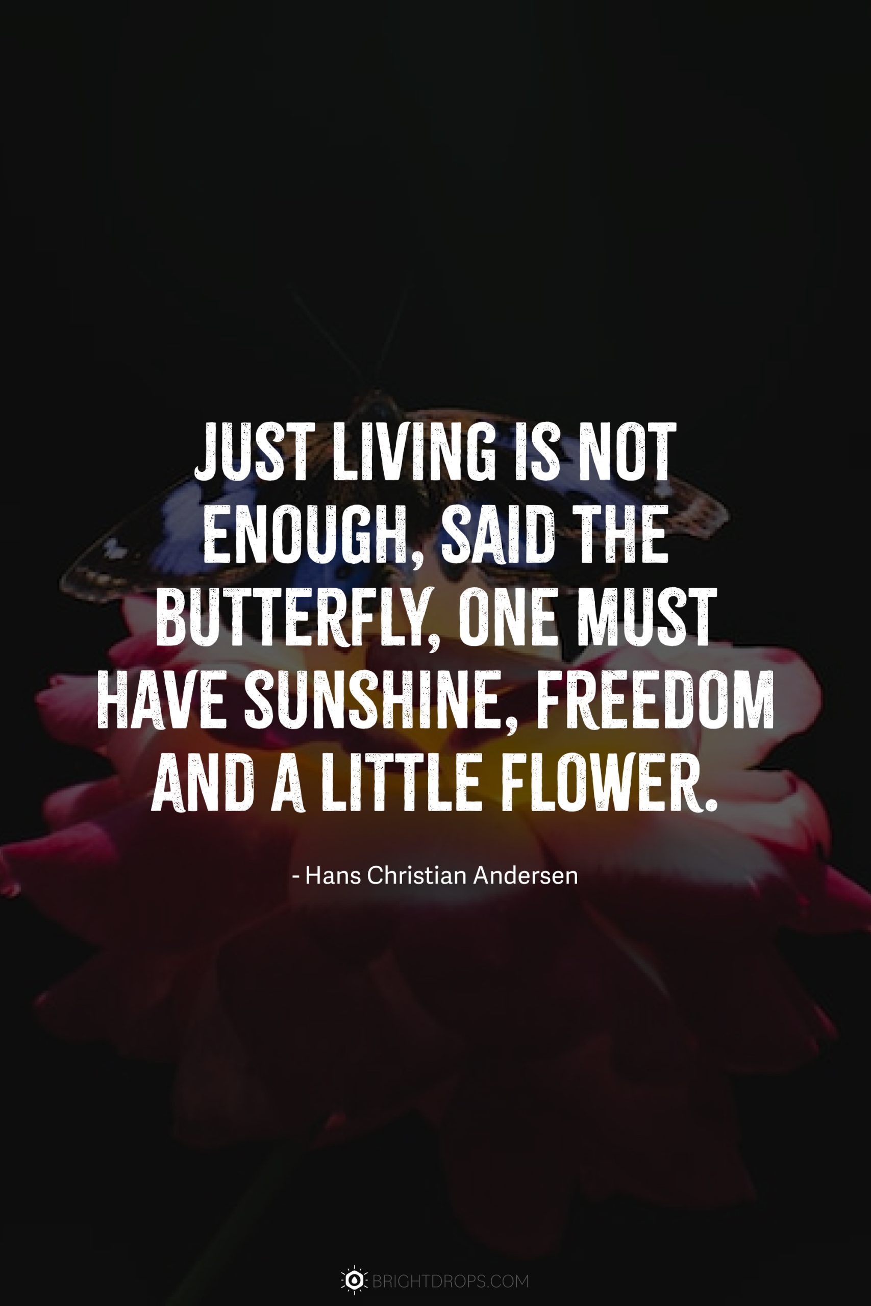 Just living is not enough, said the butterfly, one must have sunshine, freedom and a little flower.