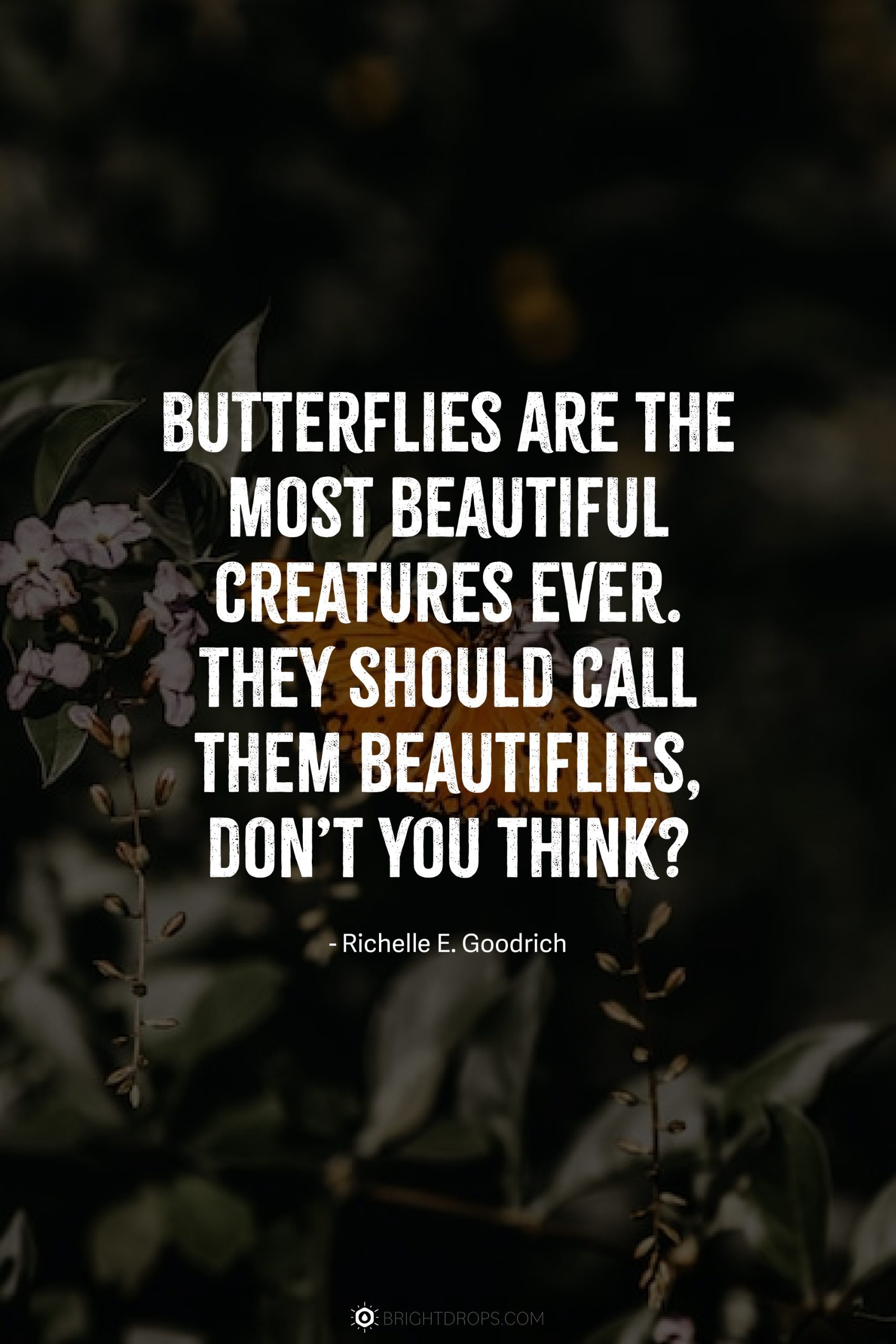 Butterflies are the most beautiful creatures ever. They should call them beautiflies, don’t you think?