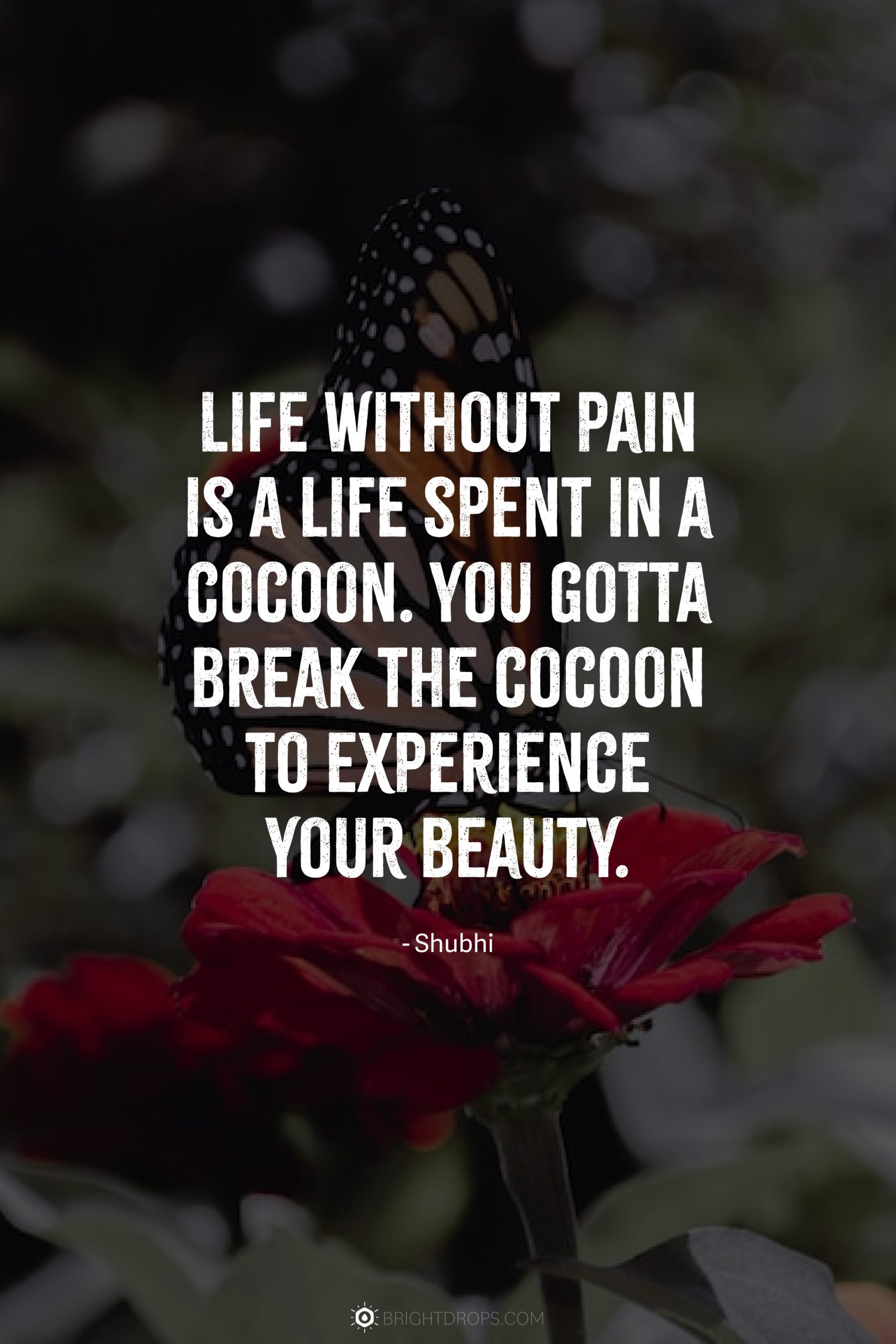 Life without pain is a life spent in a cocoon. You gotta break the cocoon to experience your beauty.