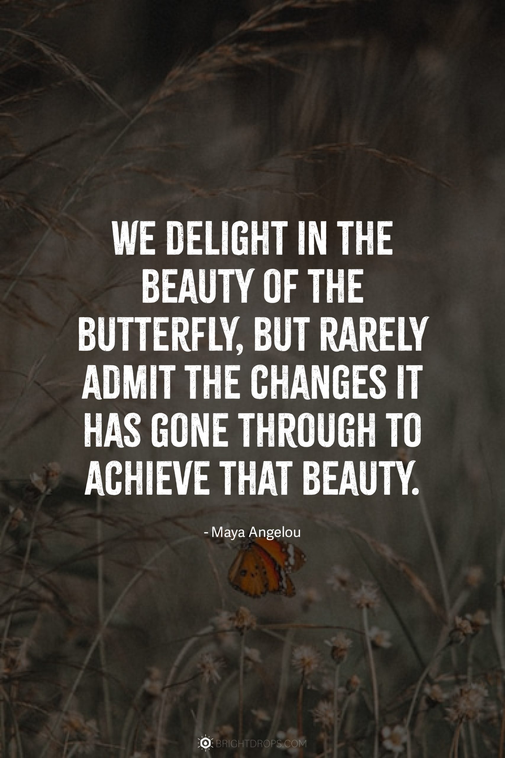 We delight in the beauty of the butterfly, but rarely admit the changes it has gone through to achieve that beauty.