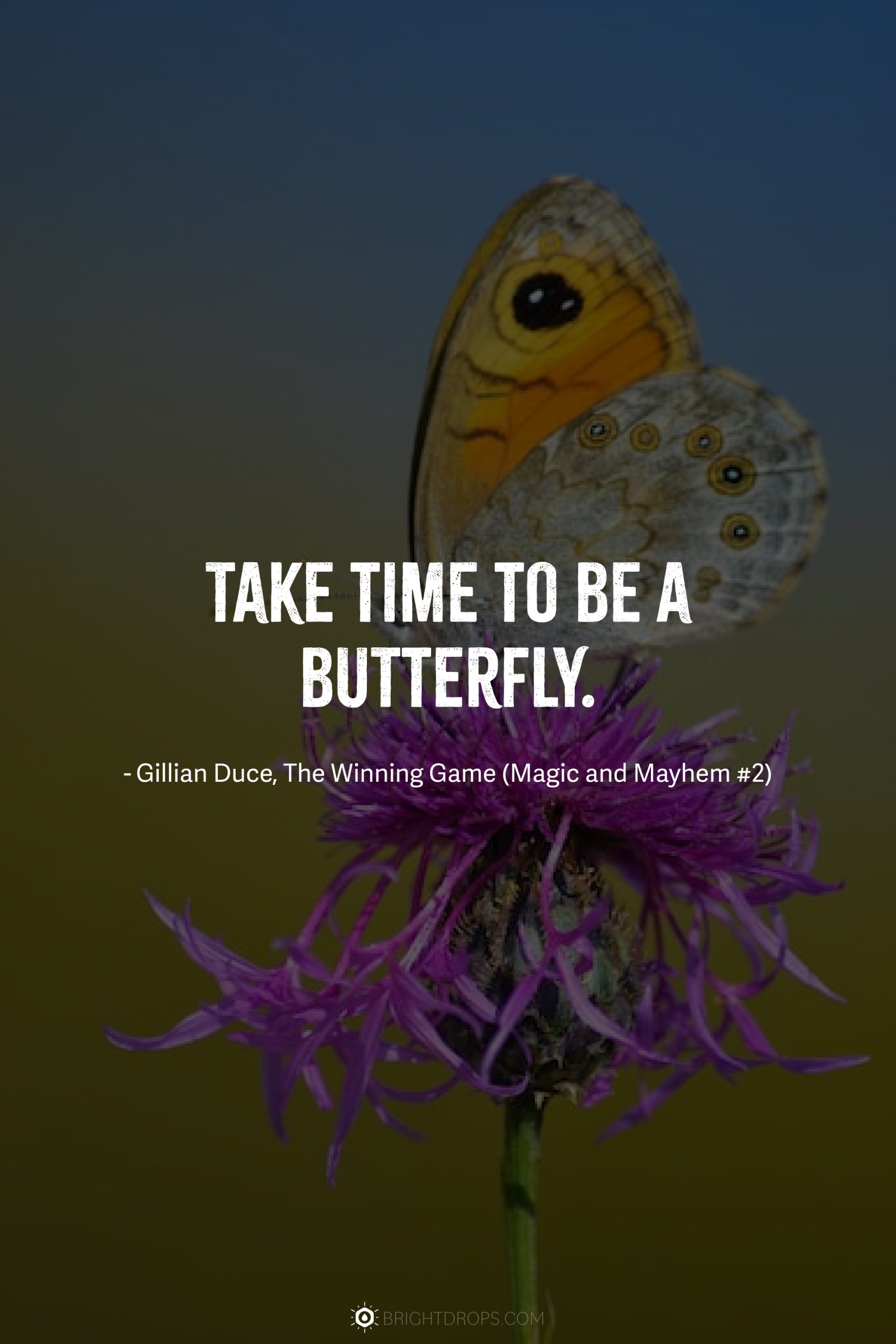 Take time to be a butterfly.