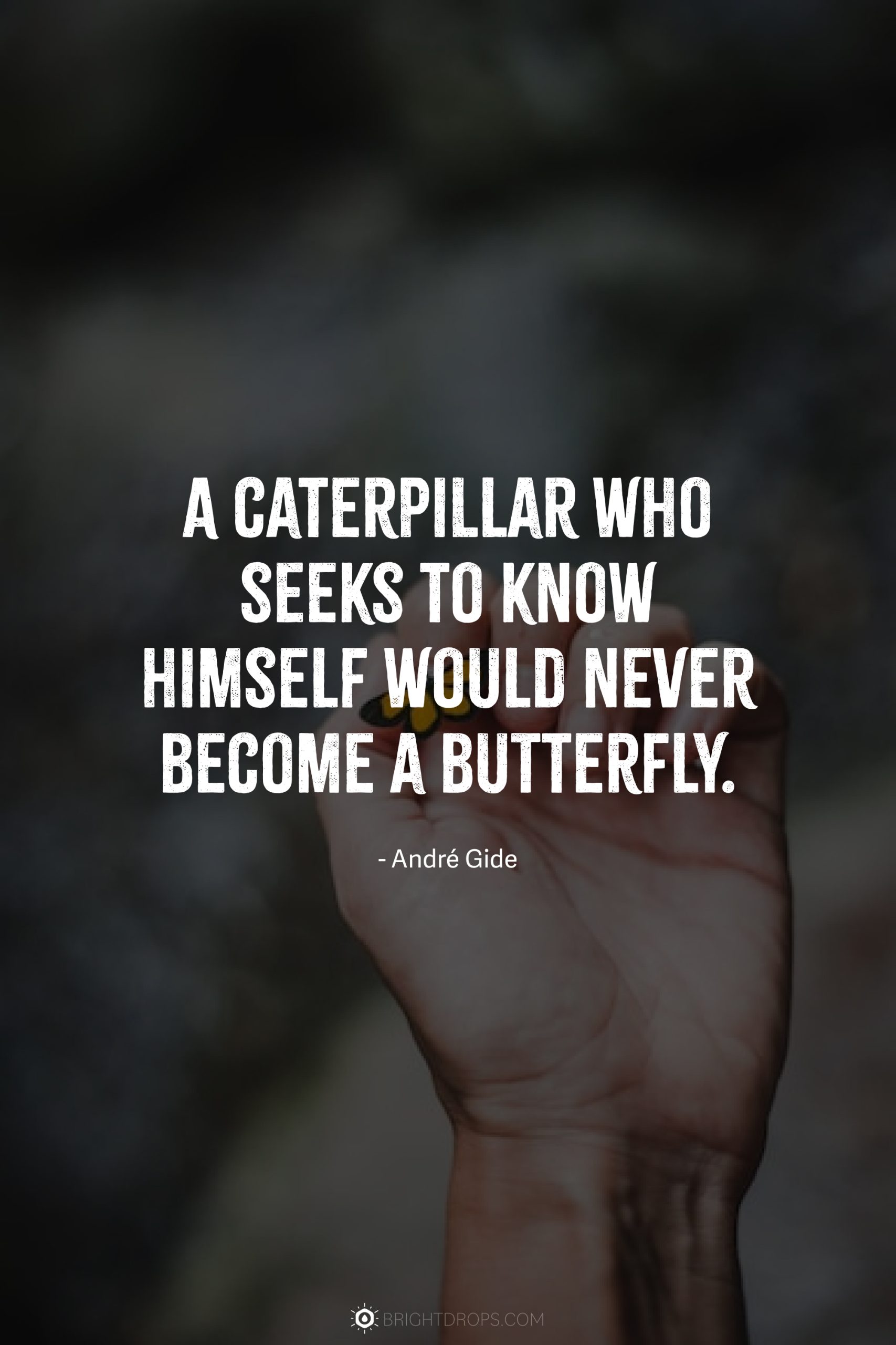 A caterpillar who seeks to know himself would never become a butterfly.