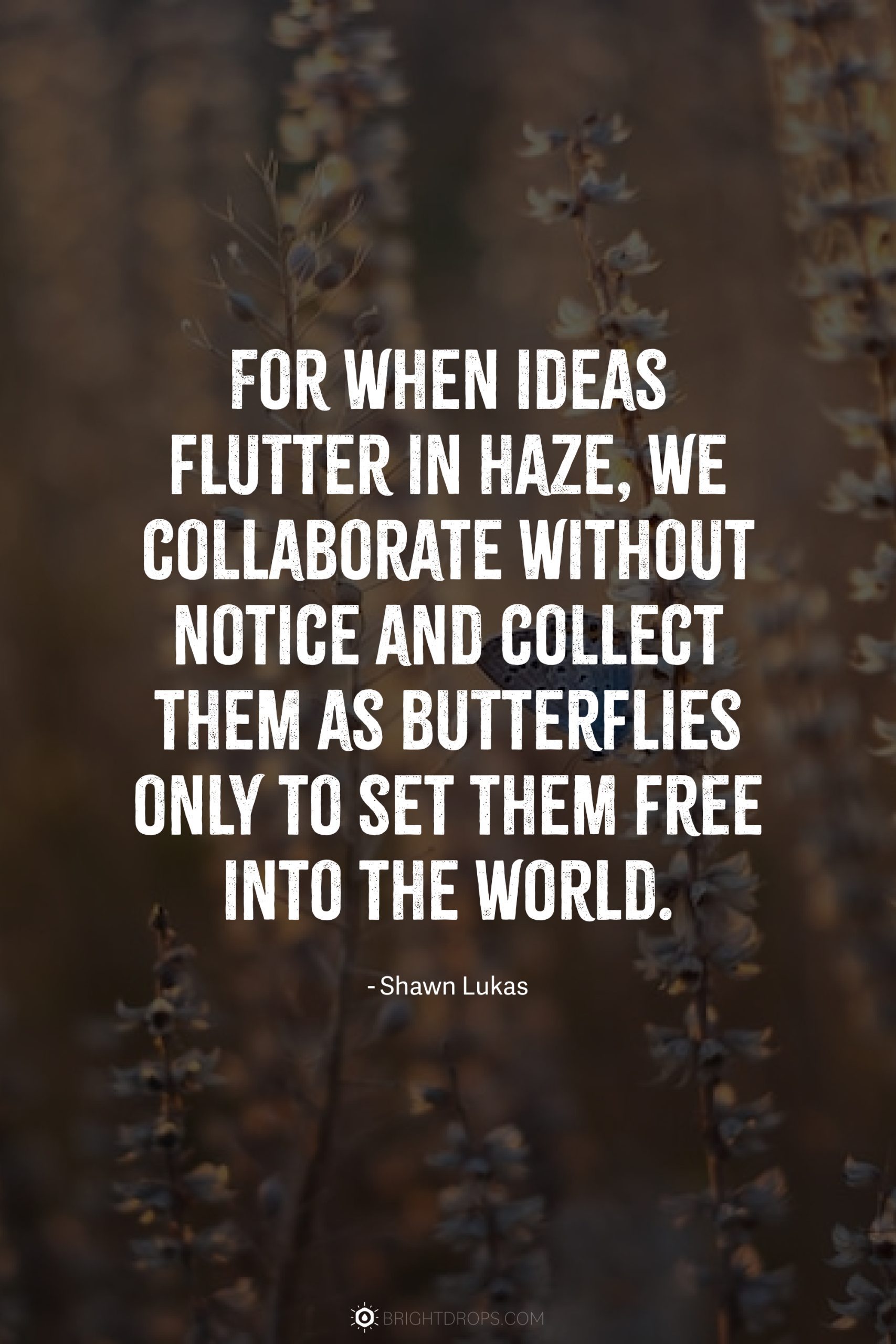 For when ideas flutter in haze, we collaborate without notice and collect them as butterflies only to set them free into the world.