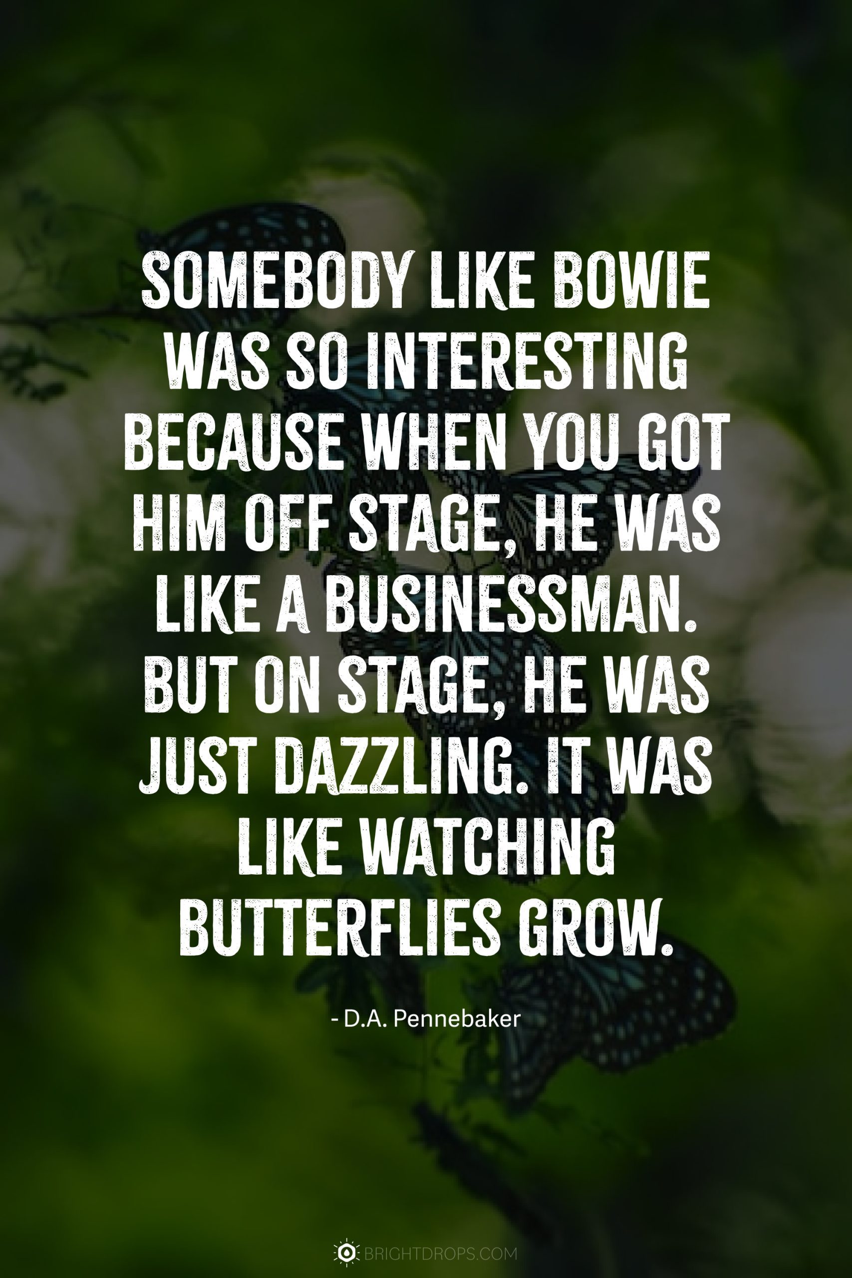 Somebody like Bowie was so interesting because when you got him off stage, he was like a businessman. But on stage, he was just dazzling. It was like watching butterflies grow.