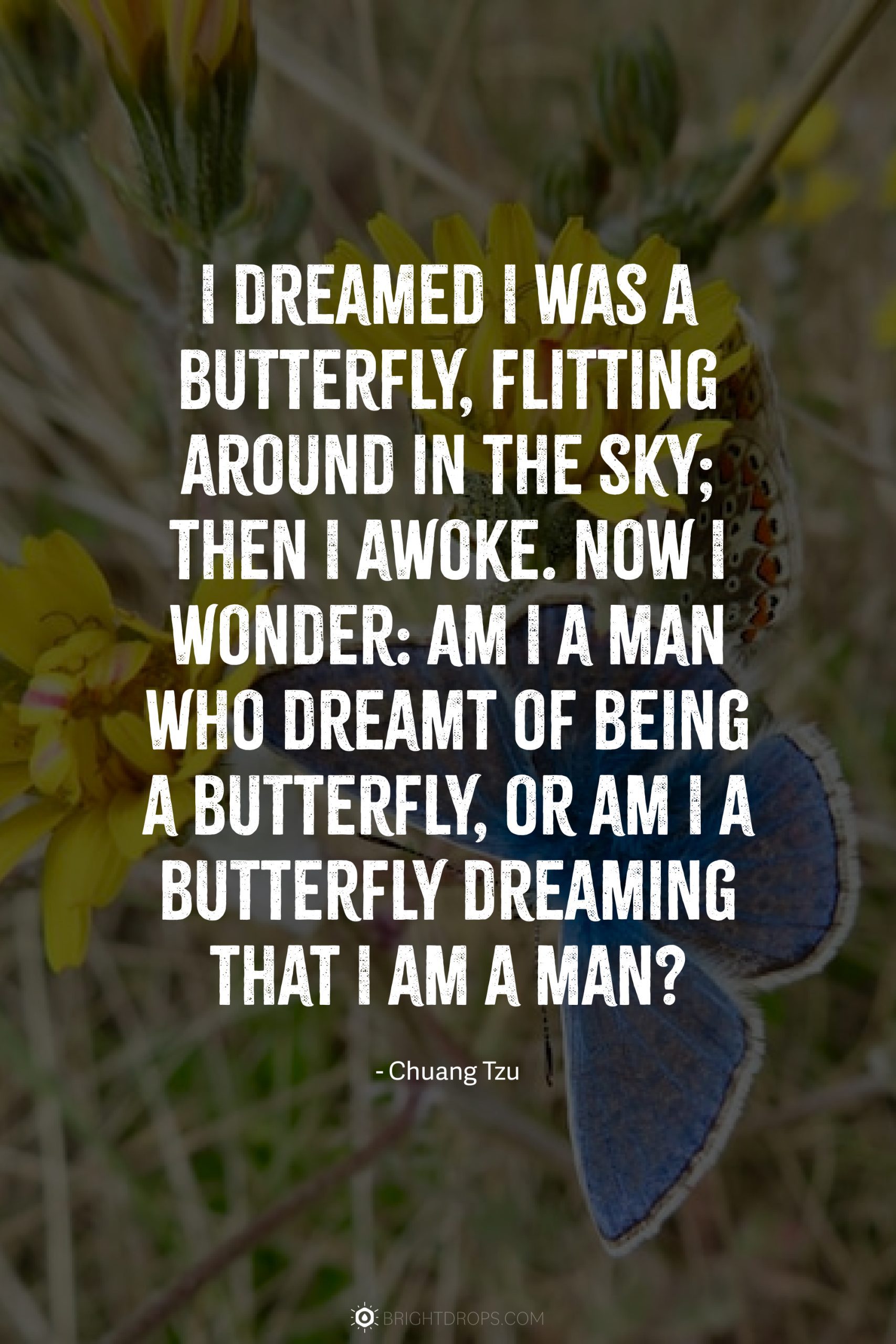 I dreamed I was a butterfly, flitting around in the sky; then I awoke. Now I wonder: Am I a man who dreamt of being a butterfly, or am I a butterfly dreaming that I am a man?