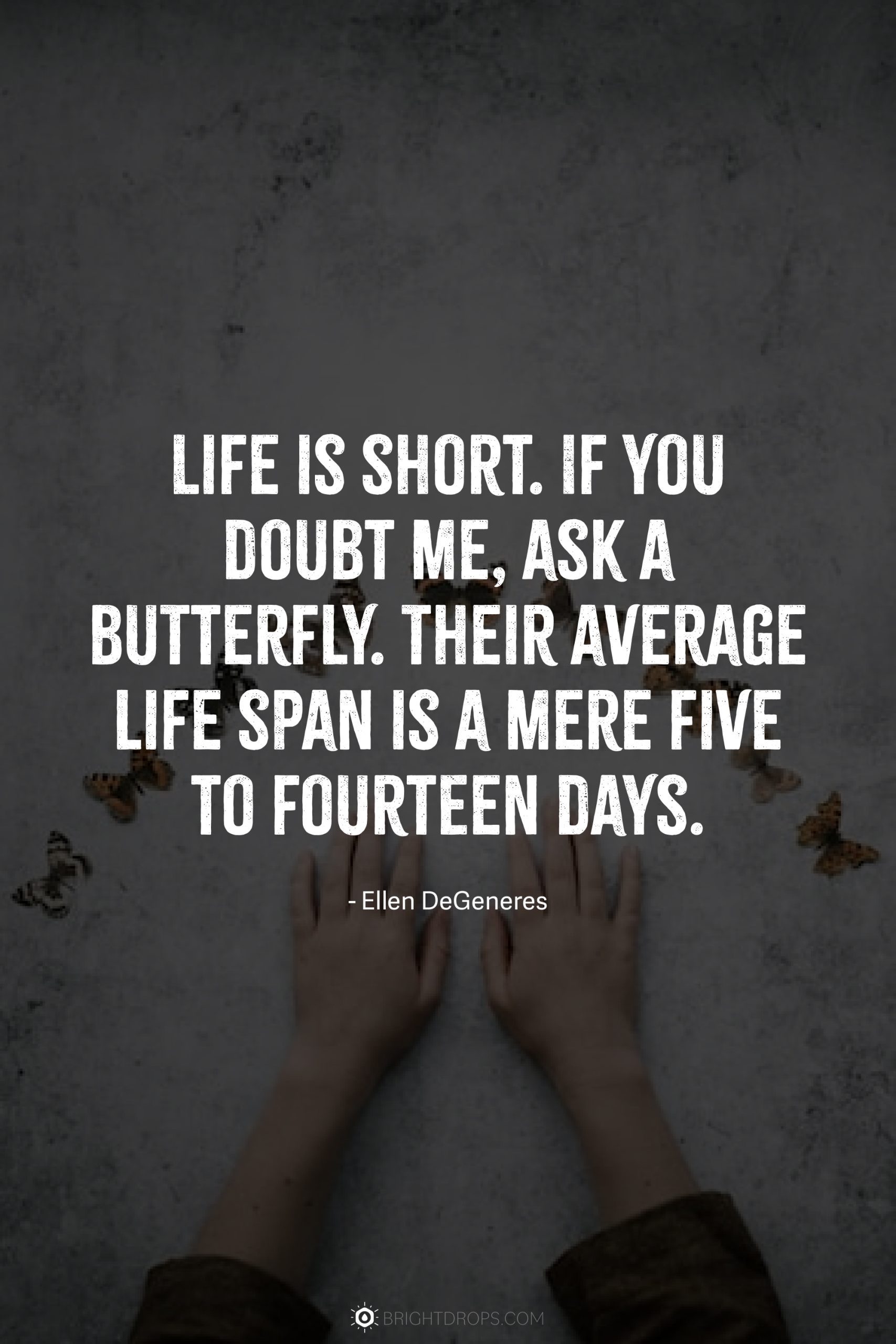 Life is short. If you doubt me, ask a butterfly. Their average life span is a mere five to fourteen days.