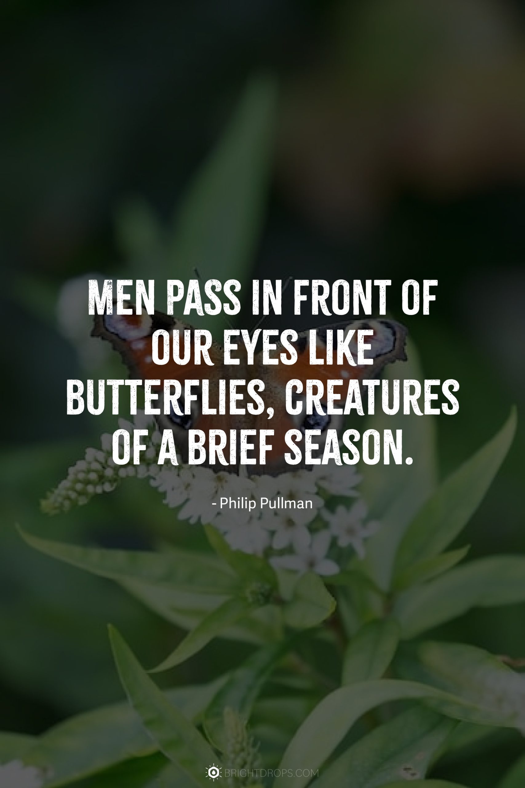 Men pass in front of our eyes like butterflies, creatures of a brief season.