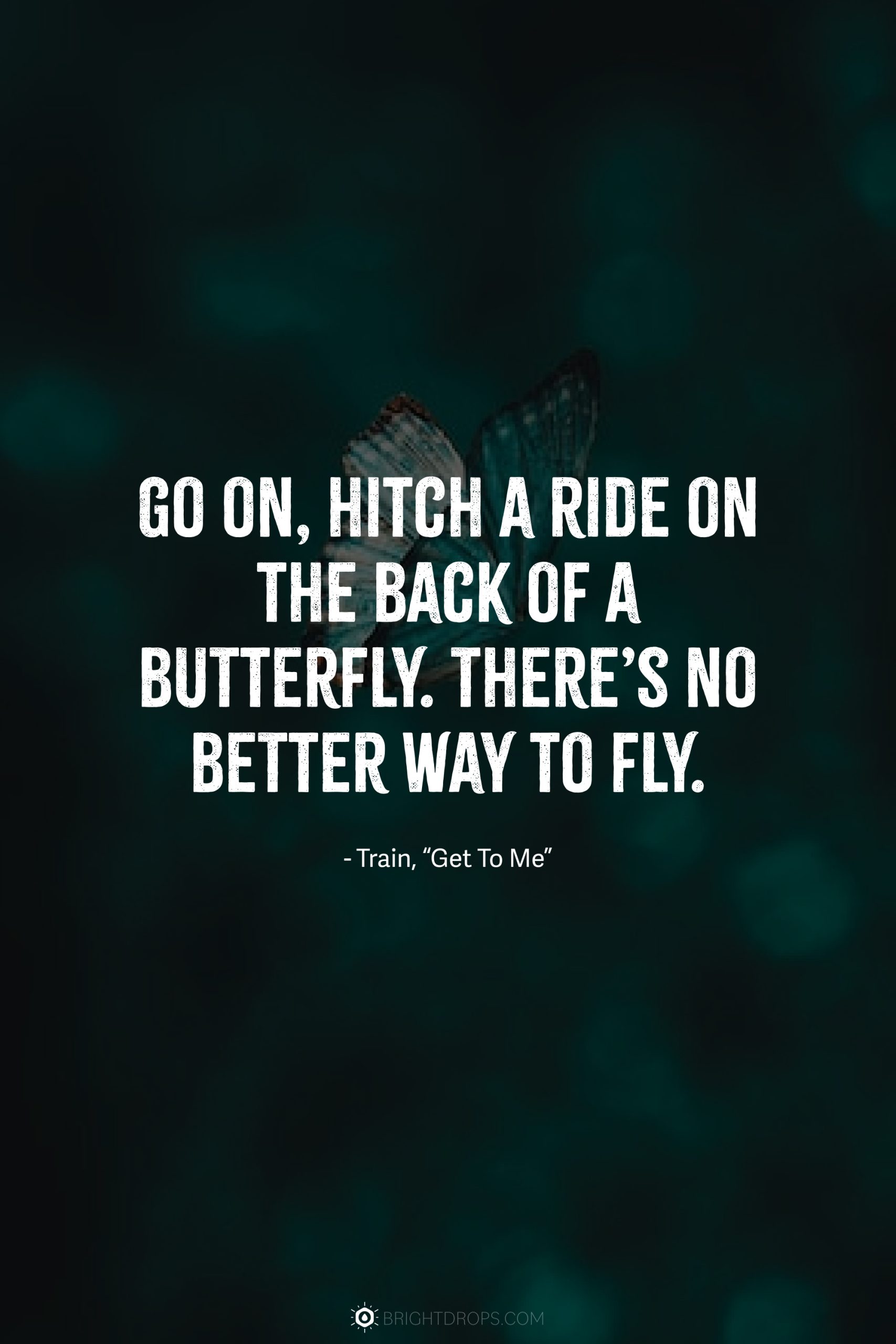 Go on, hitch a ride on the back of a butterfly. There’s no better way to fly.