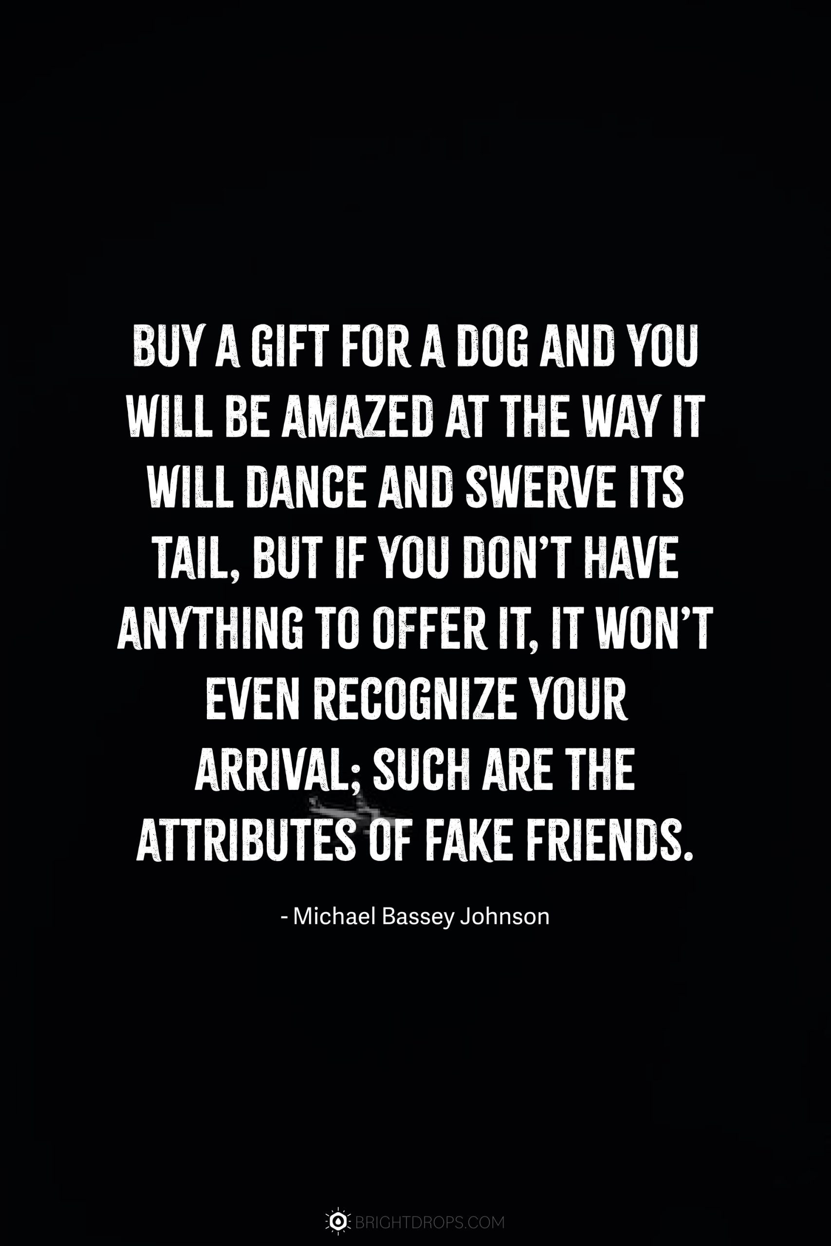 Best Inspirational Quotes About Fake Friends