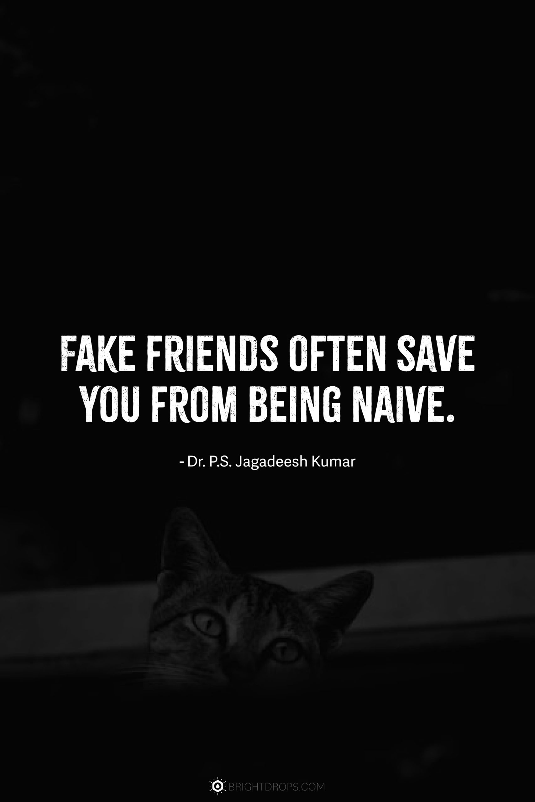 Fake People Quotes APK for Android Download