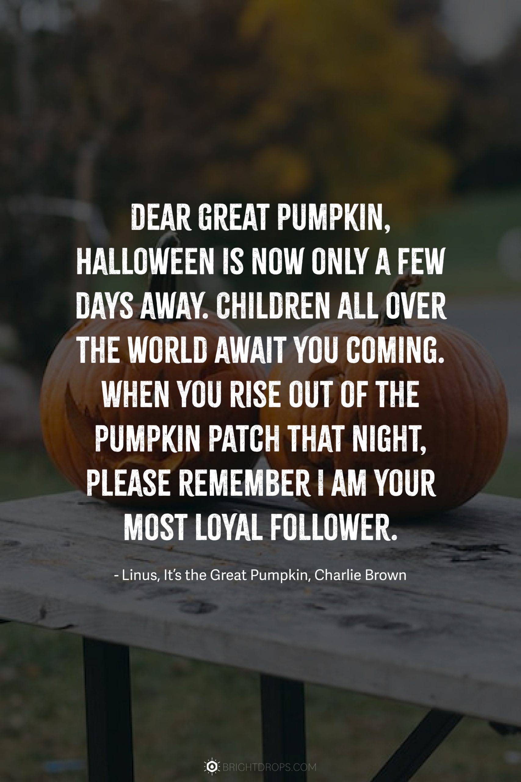 50 Spooky (And Funny) Halloween Quotes Bright Drops