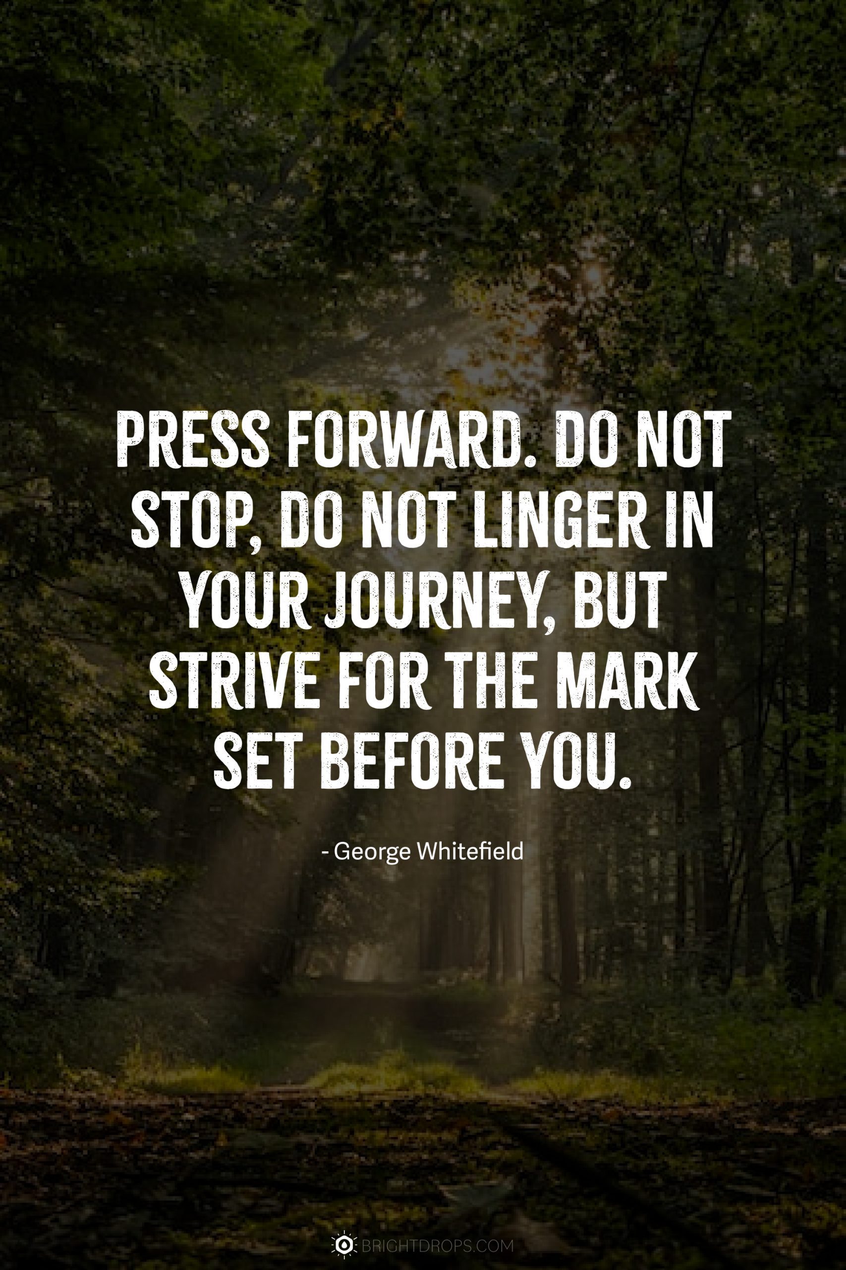 Press forward. Do not stop, do not linger in your journey, but strive for the mark set before you.