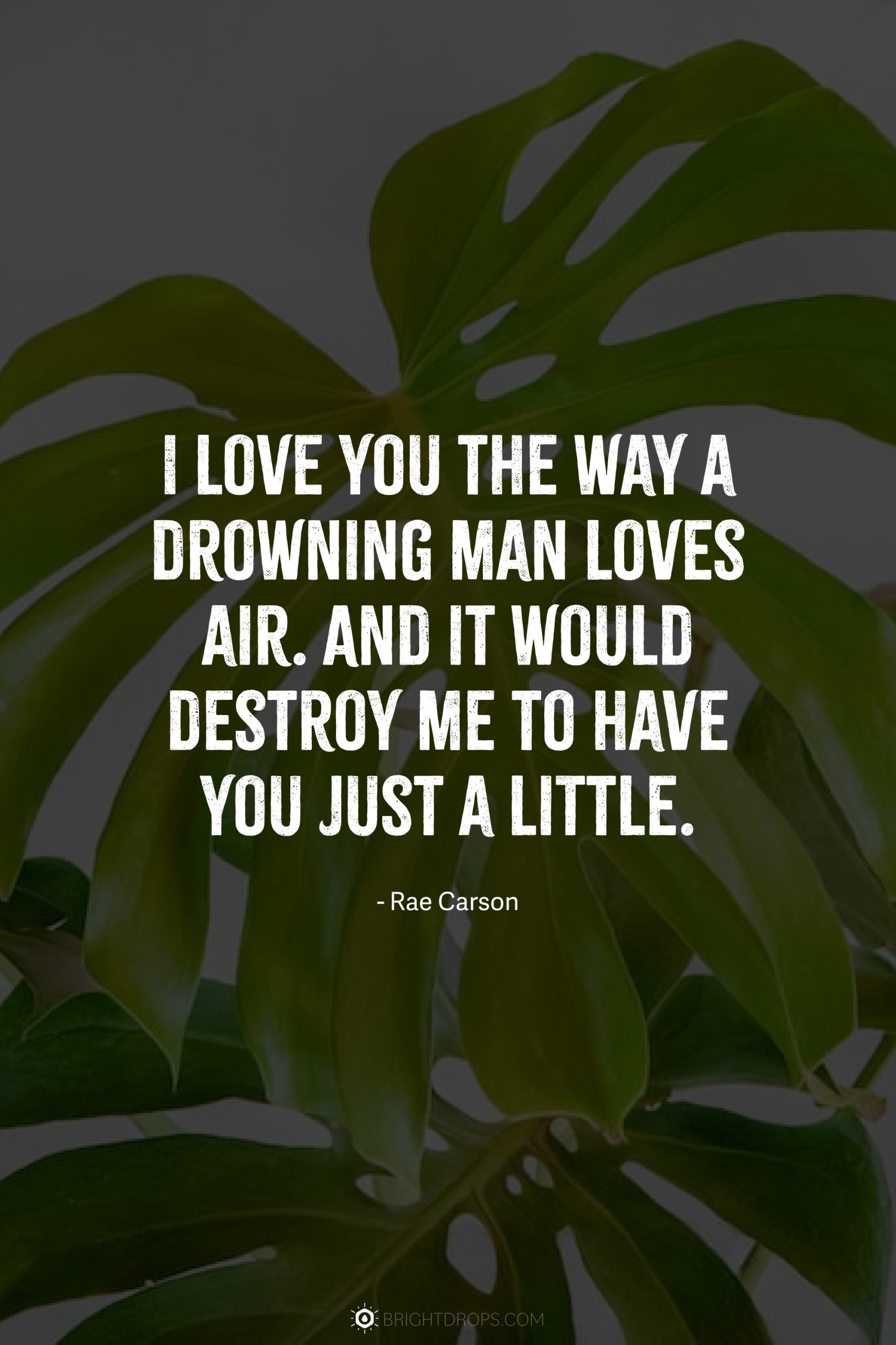 I love you the way a drowning man loves air. And it would destroy me to have you just a little.