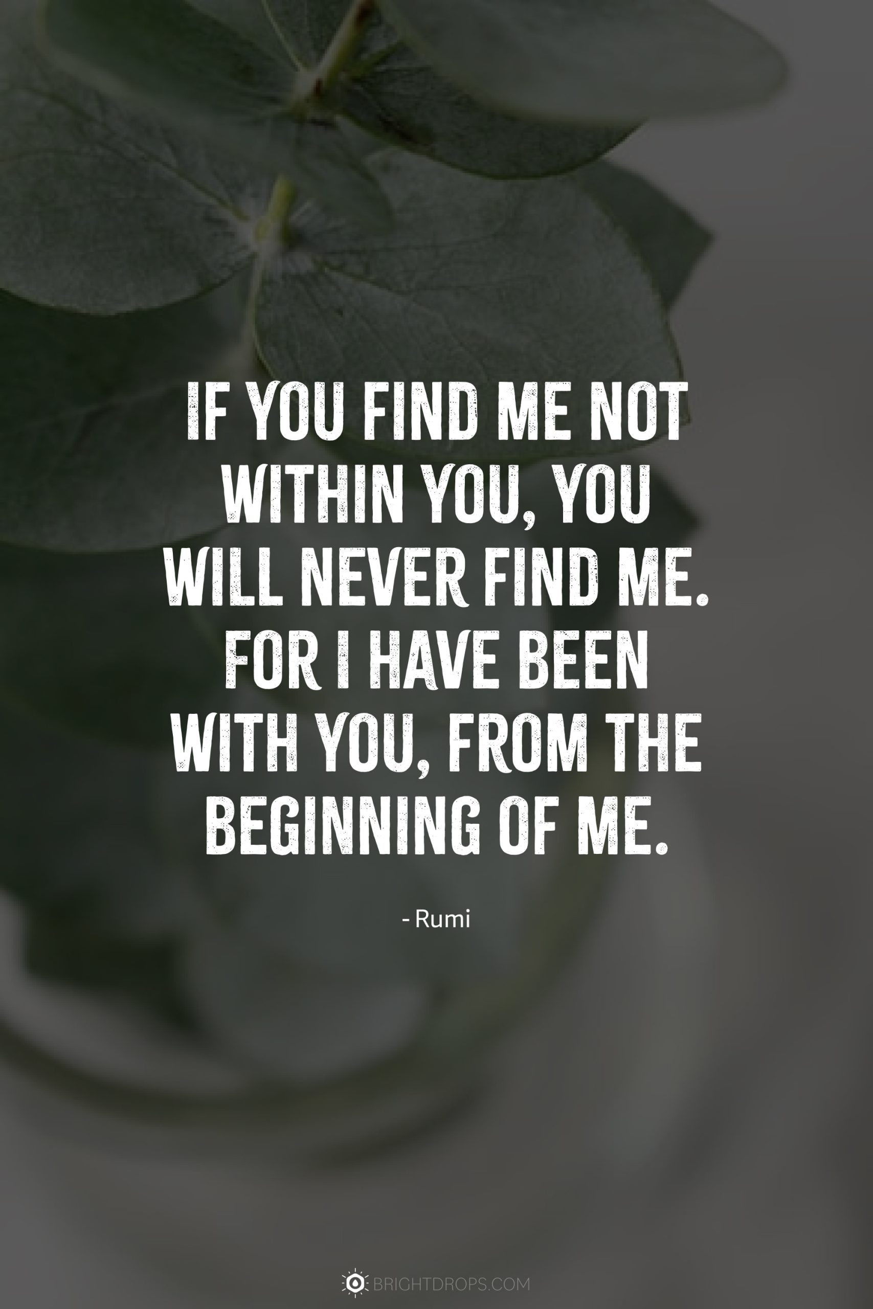 If you find me not within you, you will never find me. For I have been with you, from the beginning of me.
