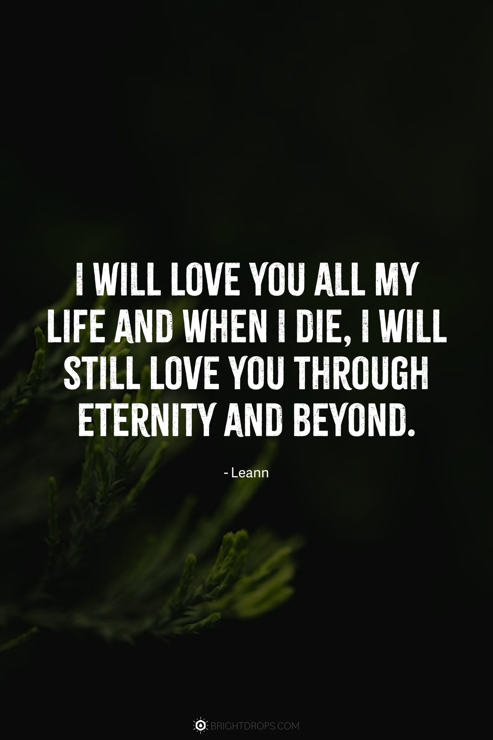 111 Short And Deep Soulmate Quotes Bright Drops 111 Short And Deep Soulmate Quotes Bright Drops