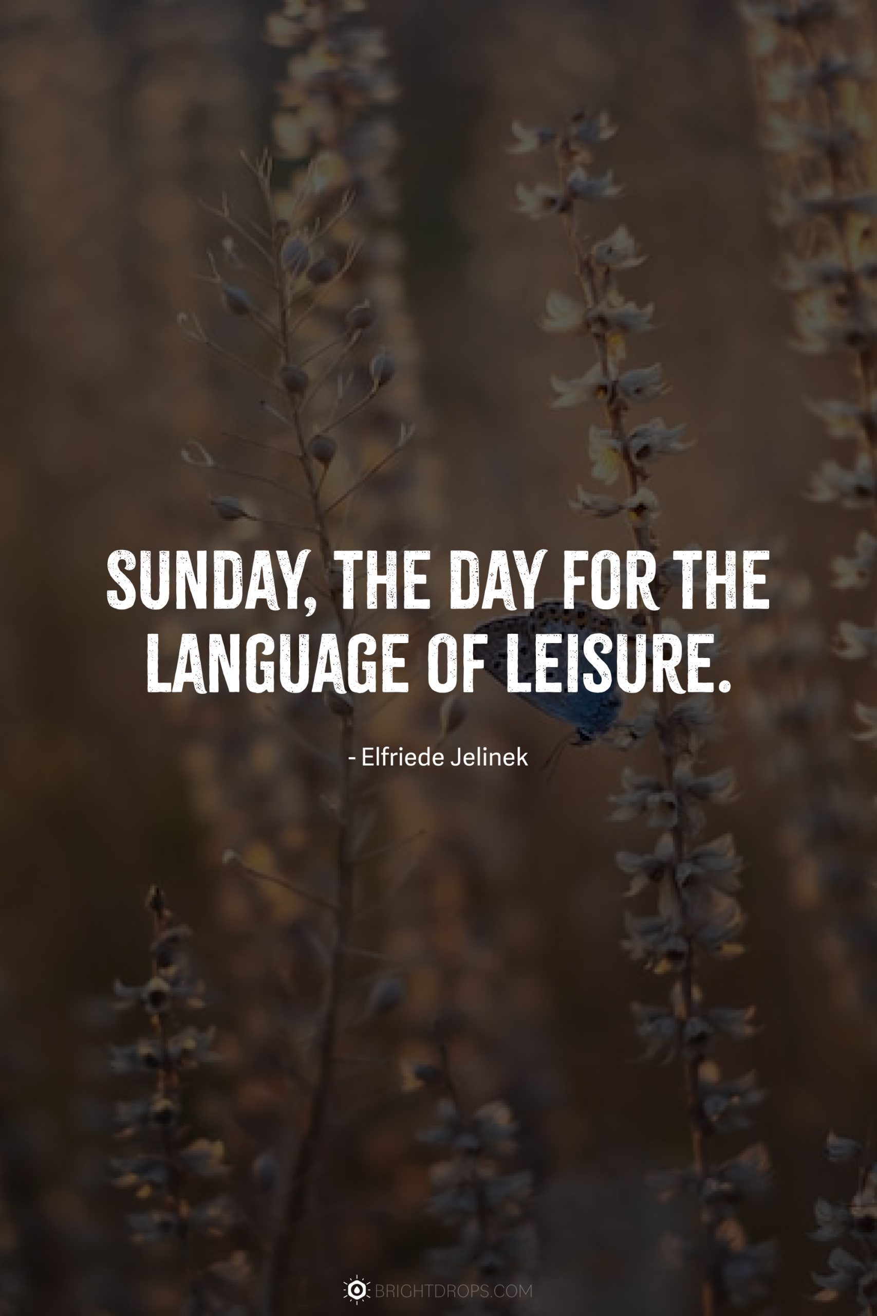 sunday quotes