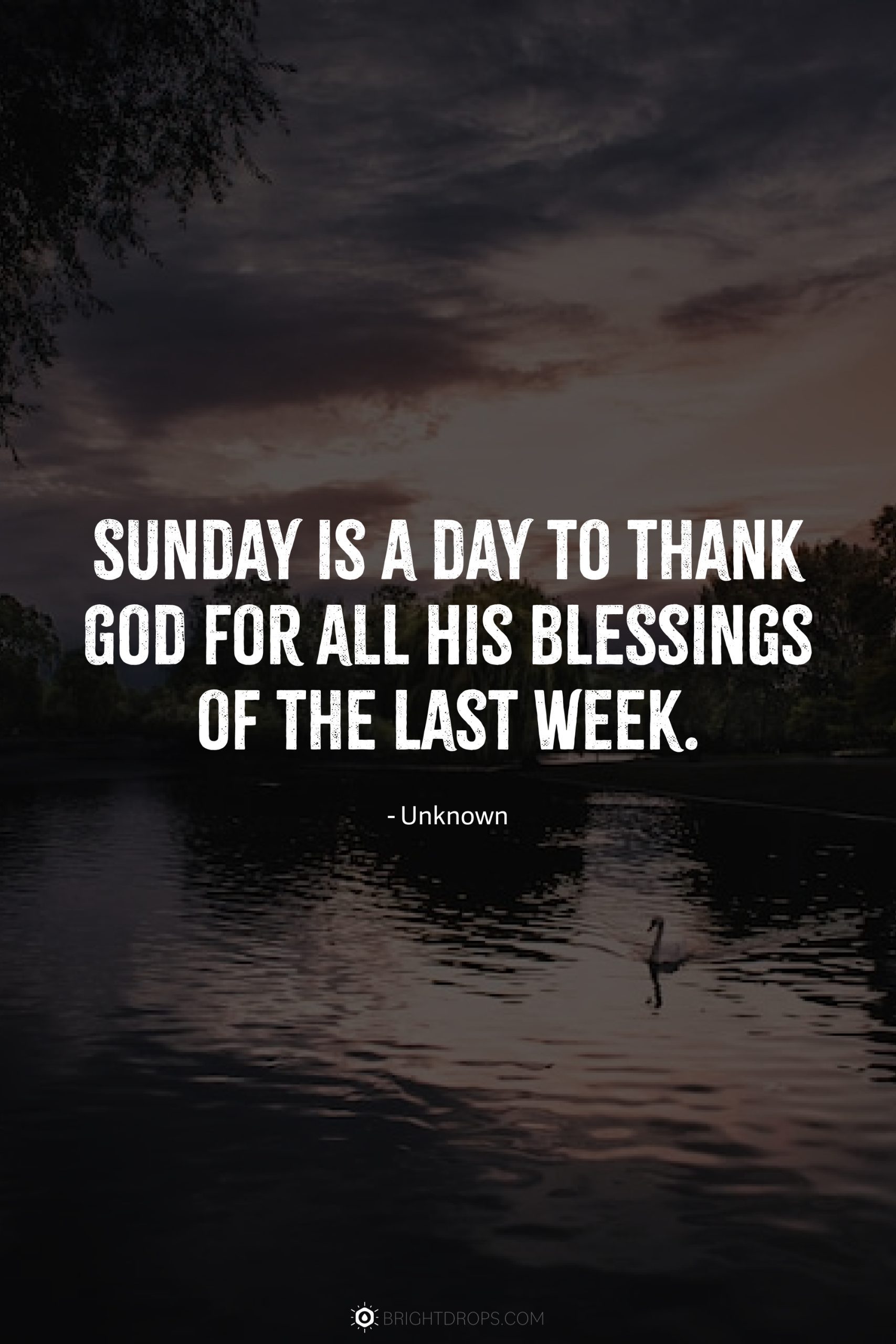 93 Sunday Quotes, Messages & Blessings - Bright Drops