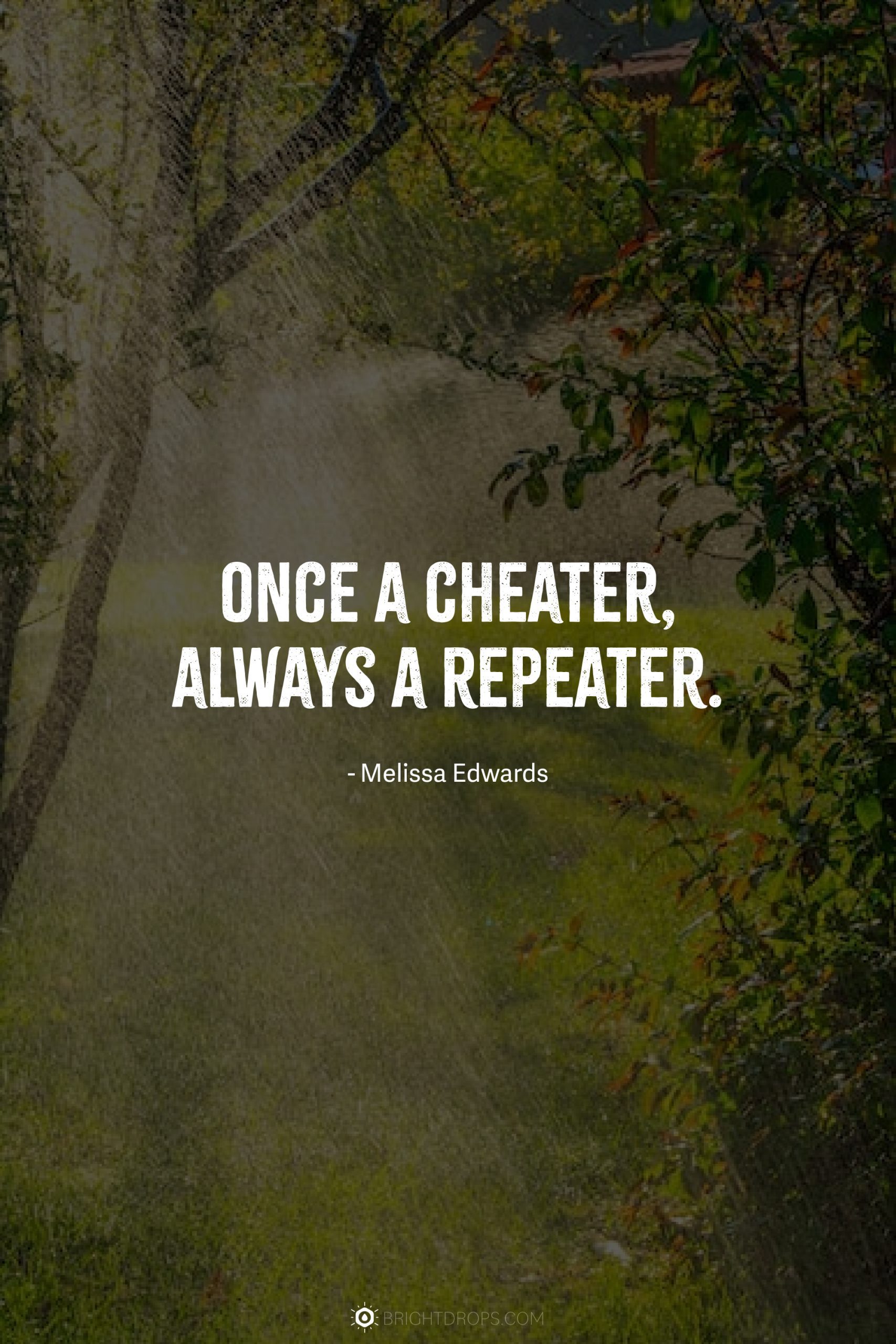 Once a cheater, always a repeater.