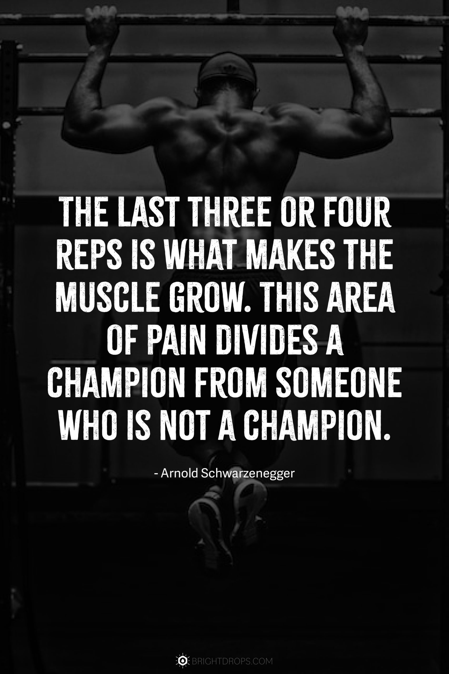 arnold schwarzenegger pain quotes