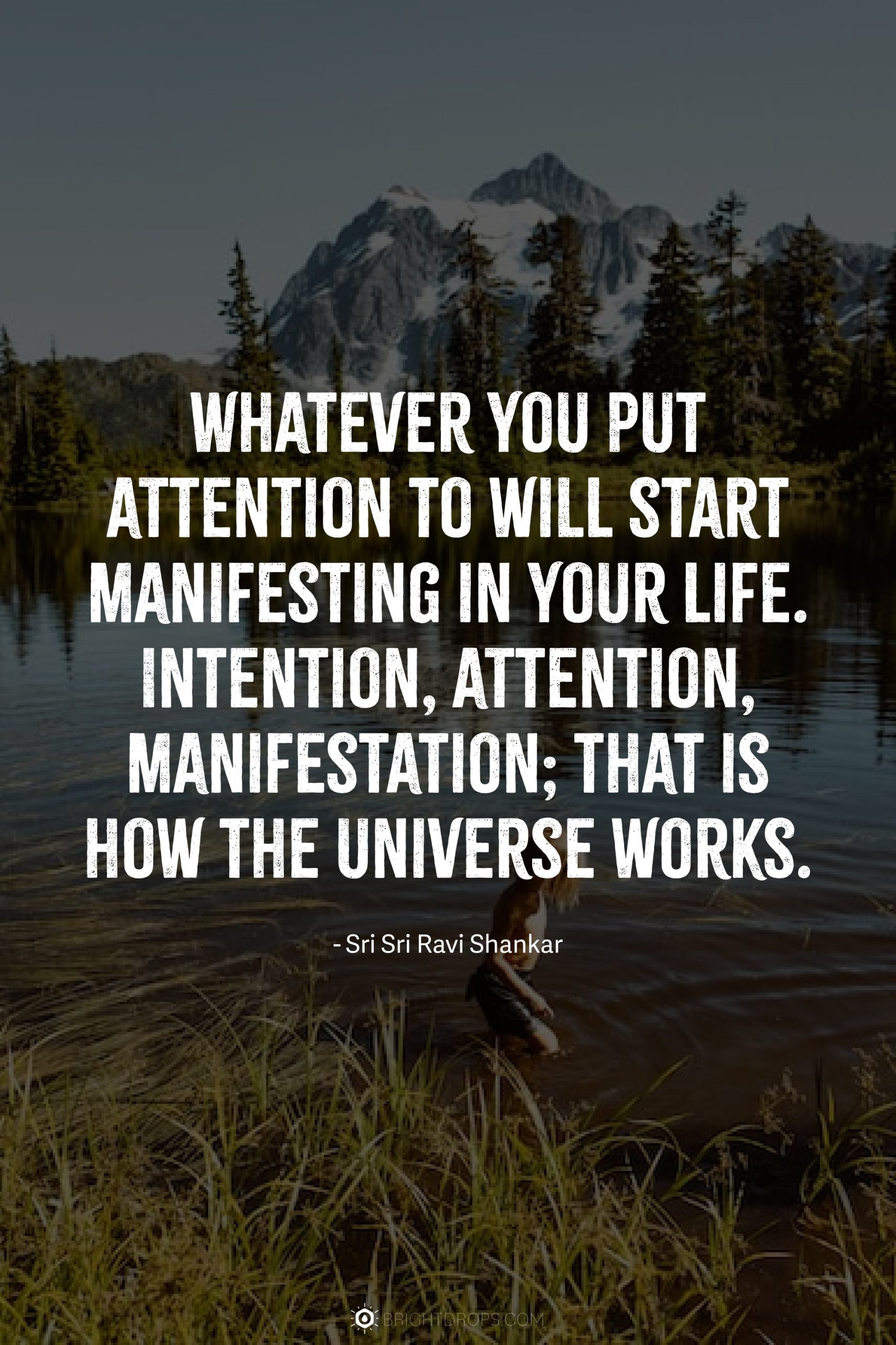 90 Manifestation Quotes To Help You Get What You Desire