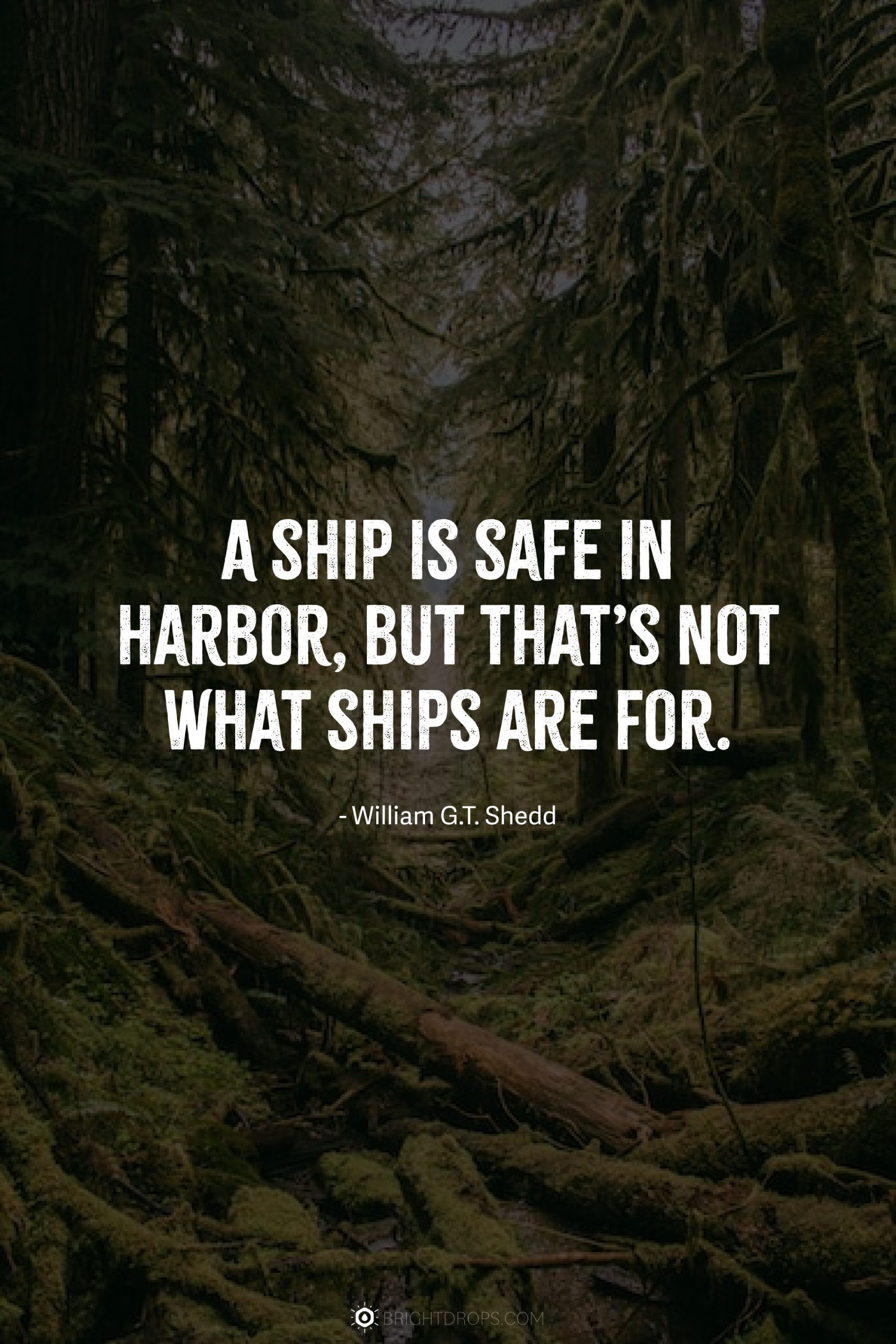 A ship is safe in harbor, but that’s not what ships are for.