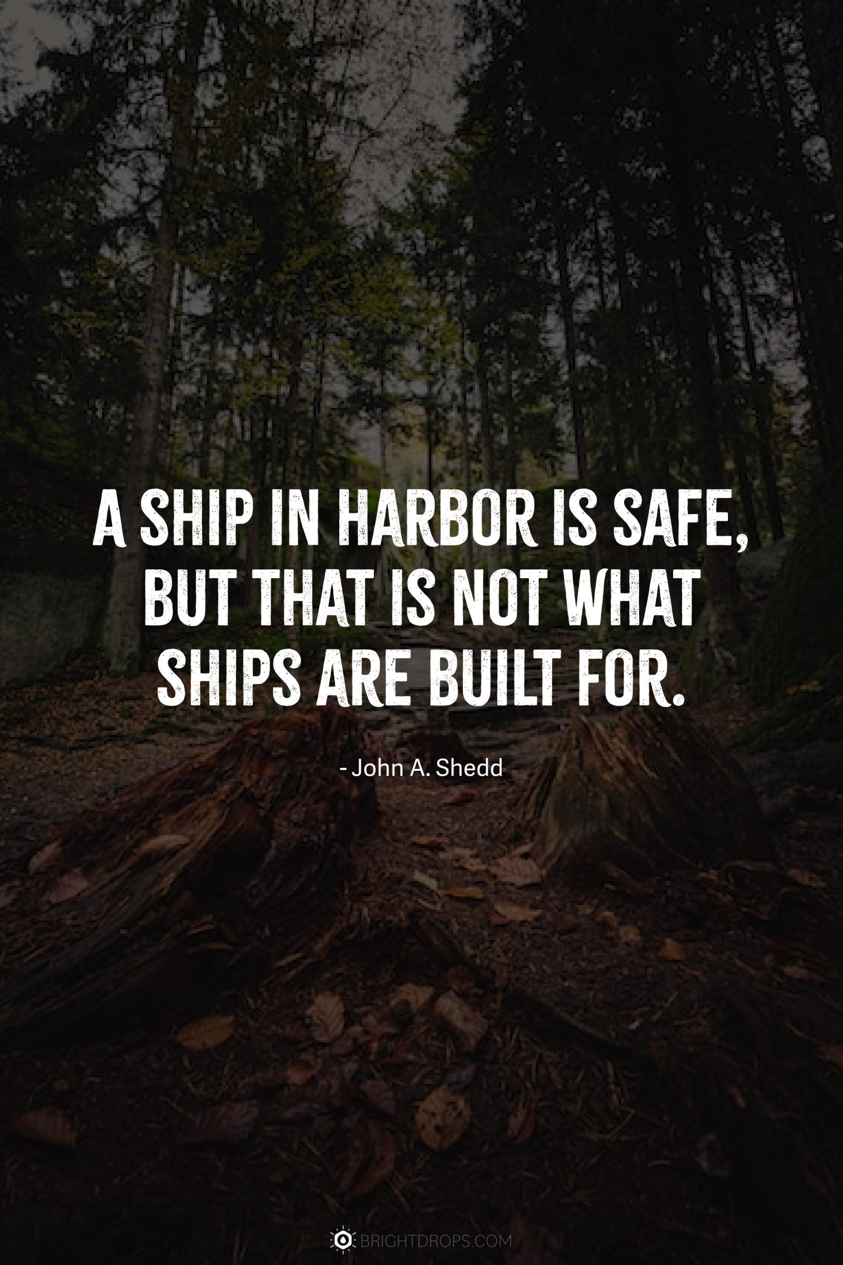 A ship in harbor is safe, but that is not what ships are built for.