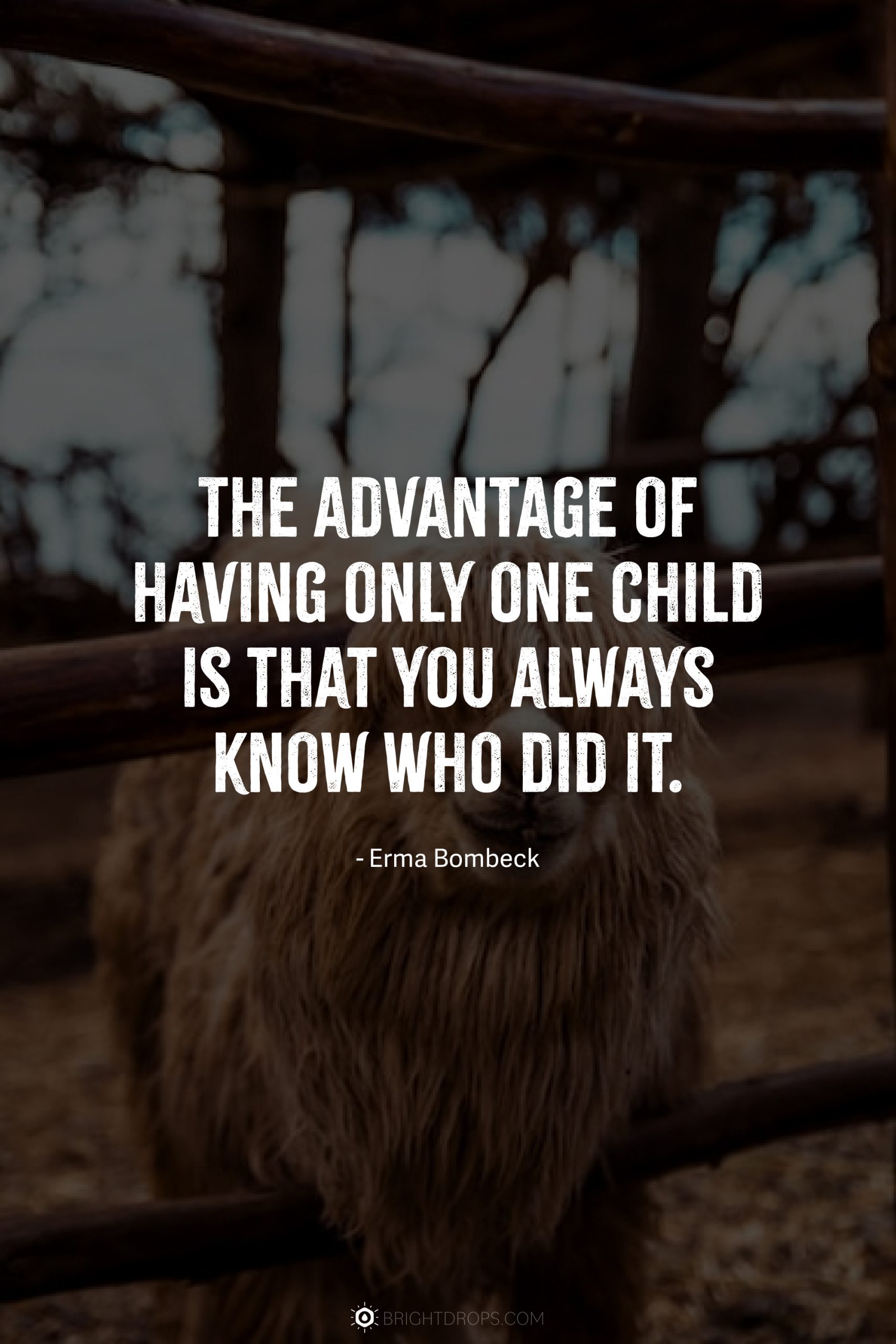 The advantage of having only one child is that you always know who did it.