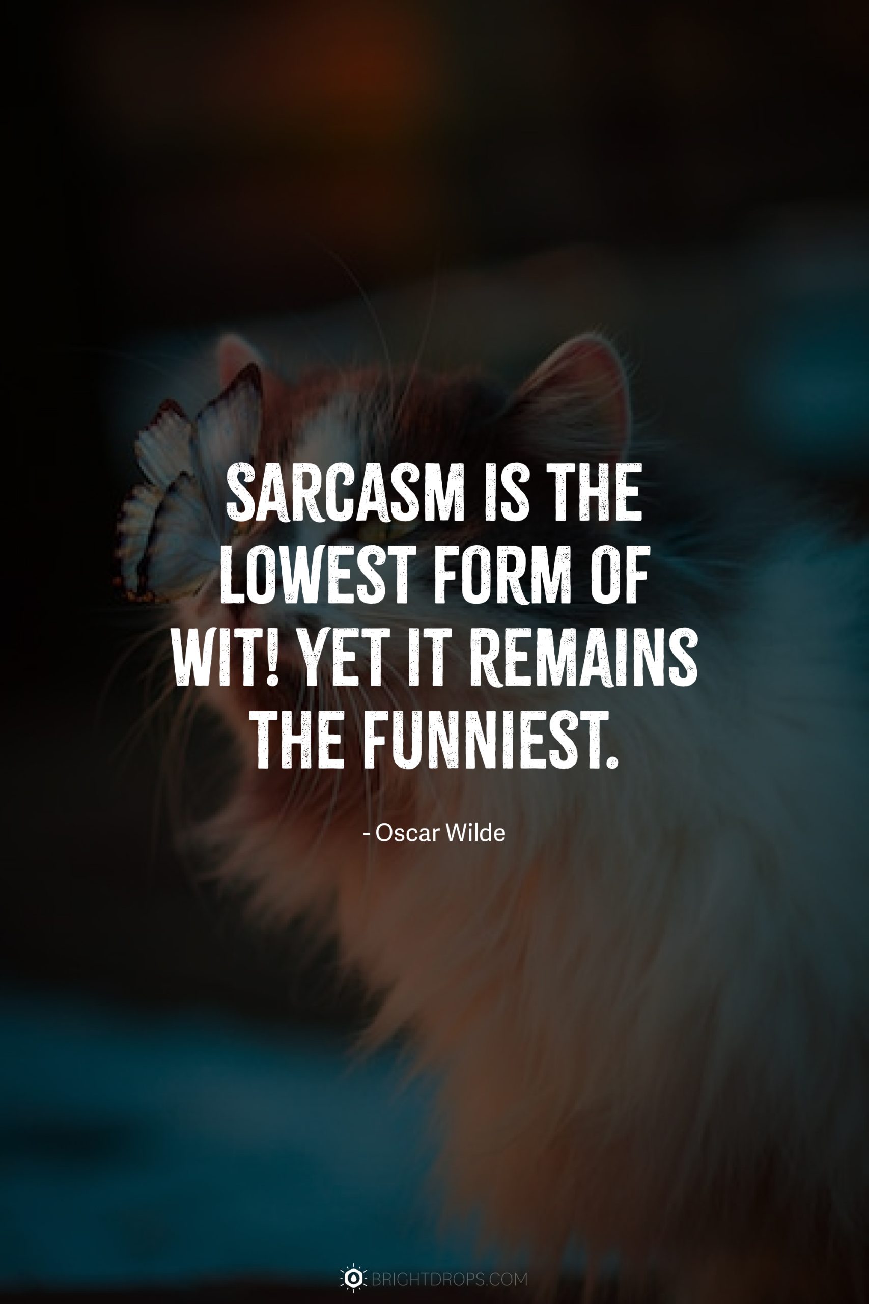 81-funny-sarcastic-quotes-for-when-you-re-feeling-cheeky-bright-drops